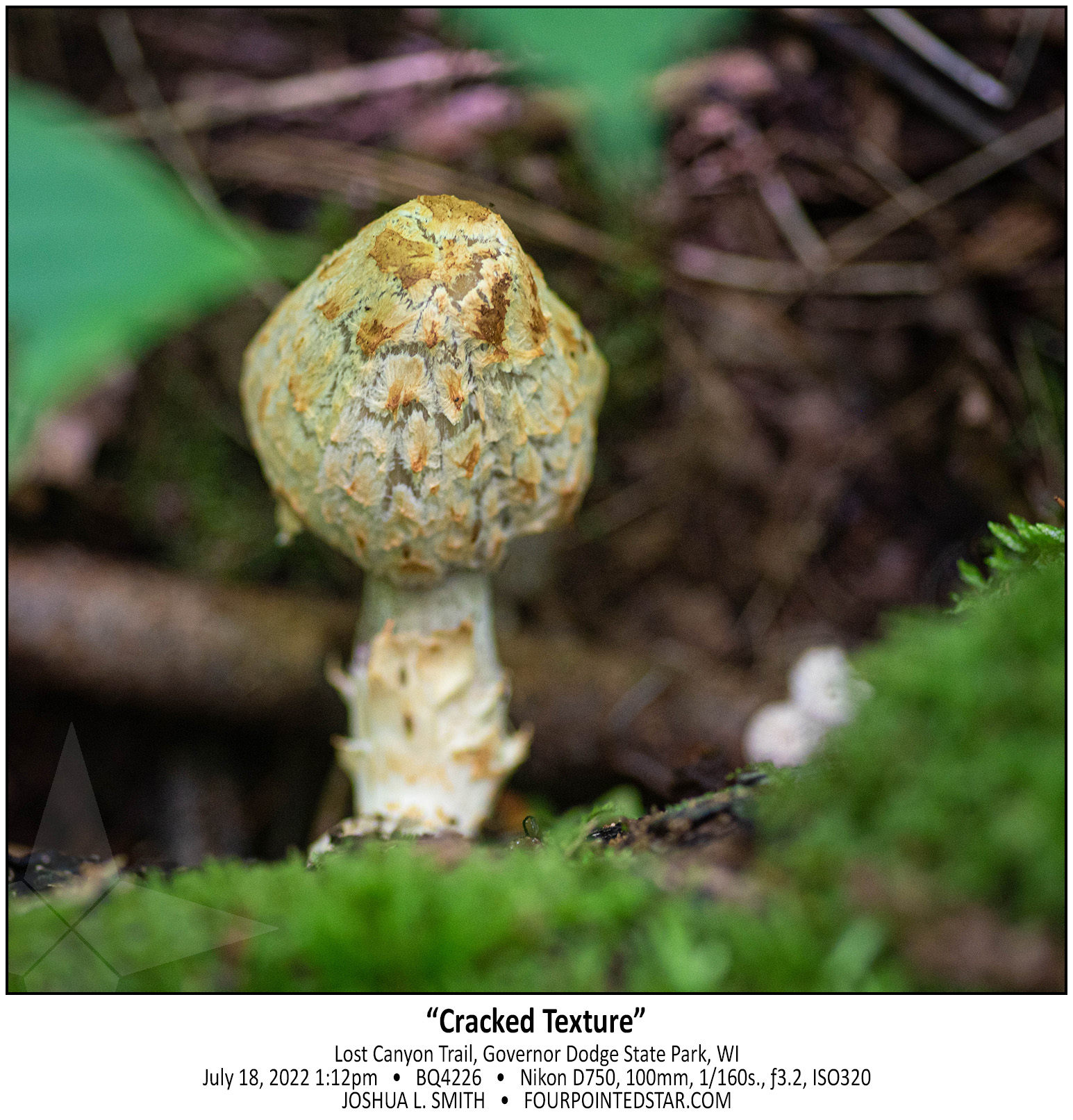 BQ4226 220718 131228