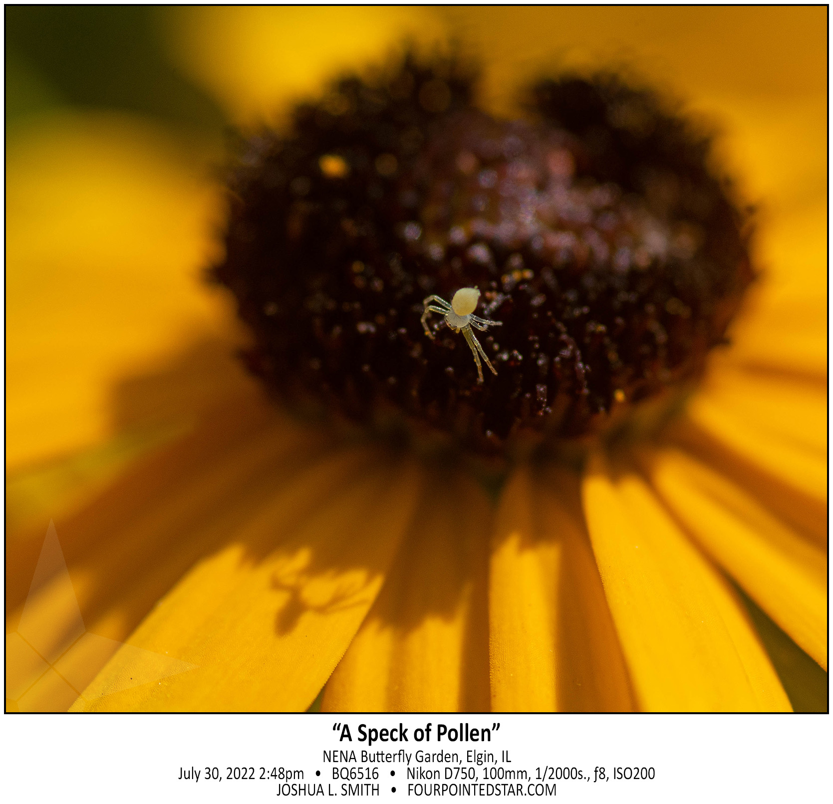 BQ6516 220730 144839