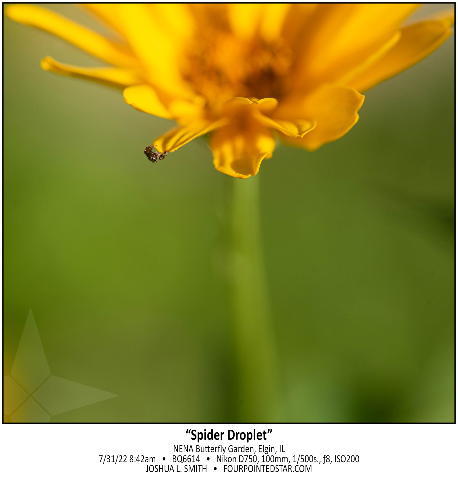 BQ6614 220731 084222