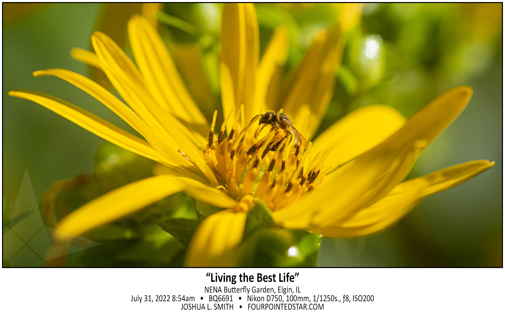 BQ6691 220731 085427