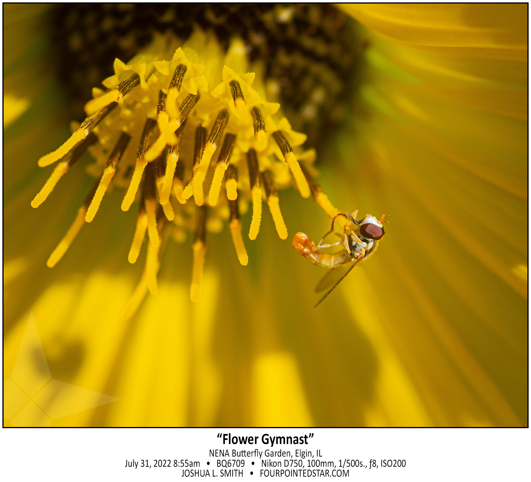 BQ6709 220731 085538