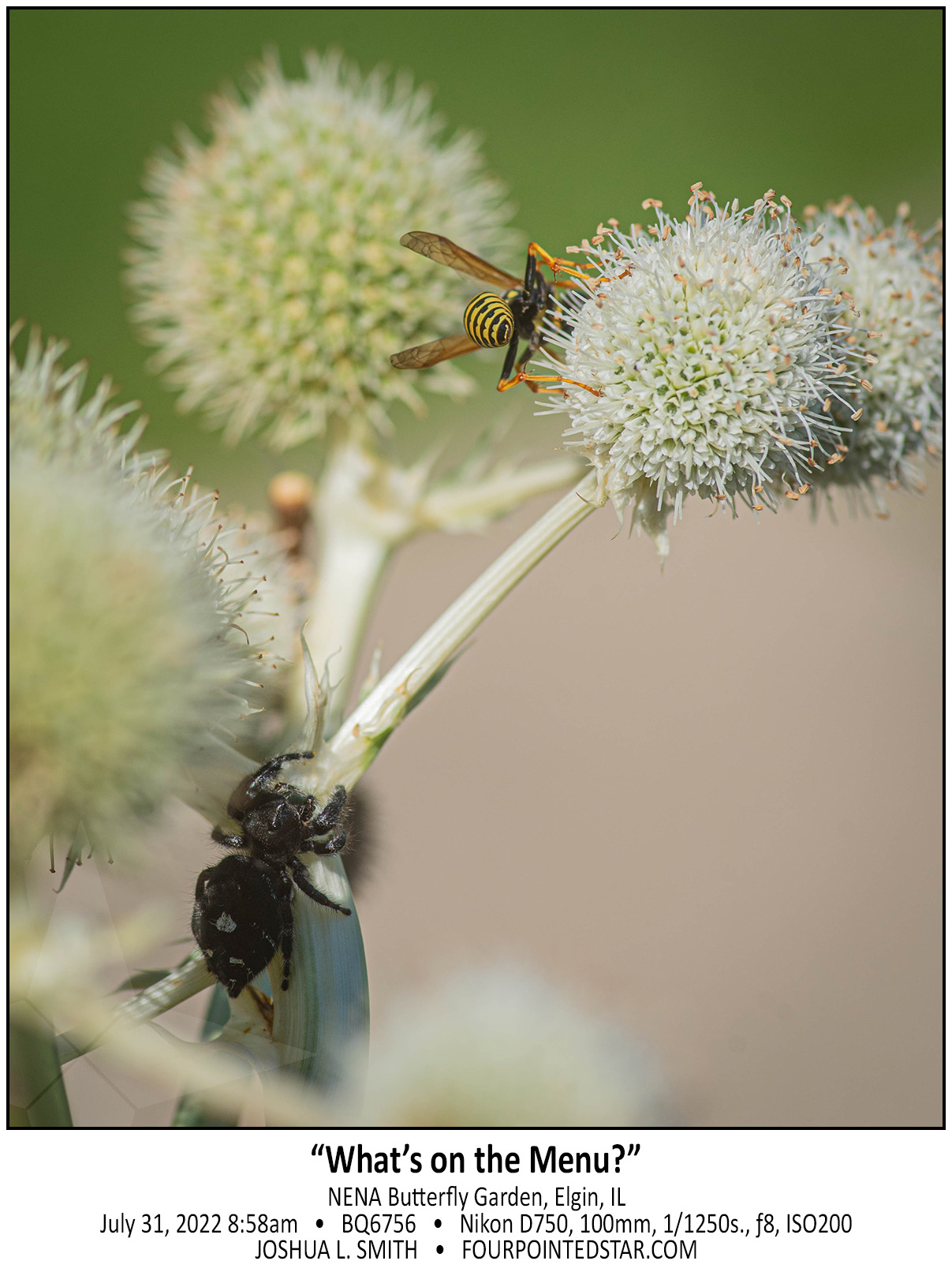 BQ6756 220731 085839