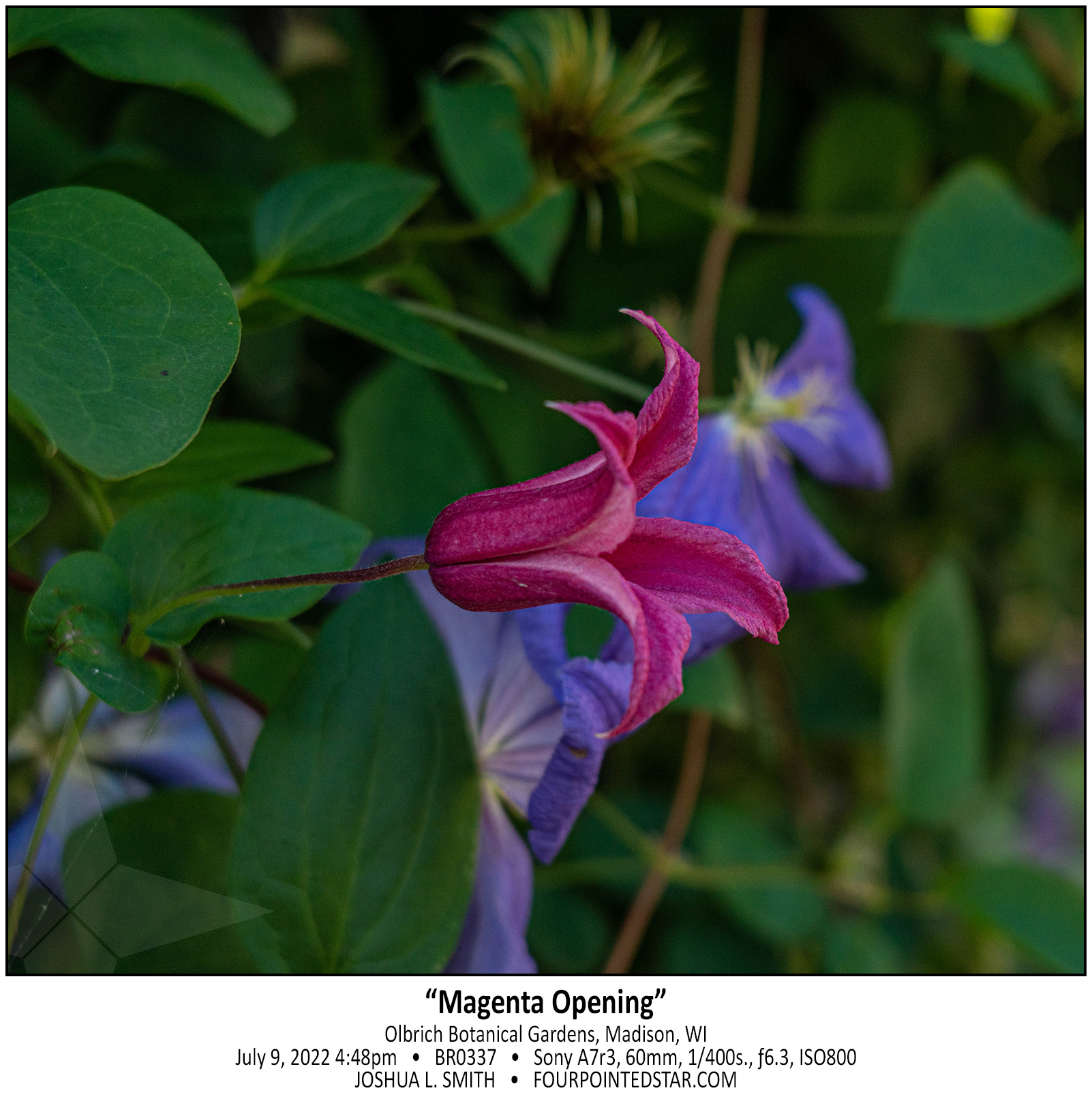 BR0337 220709 164810