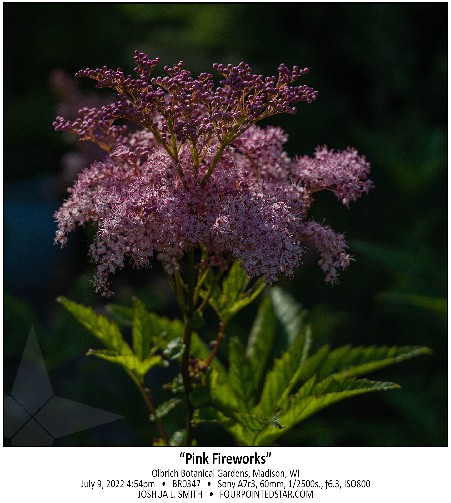 BR0347 220709 165420