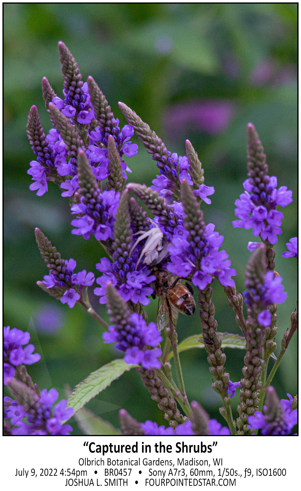 BR0457 220709 202946