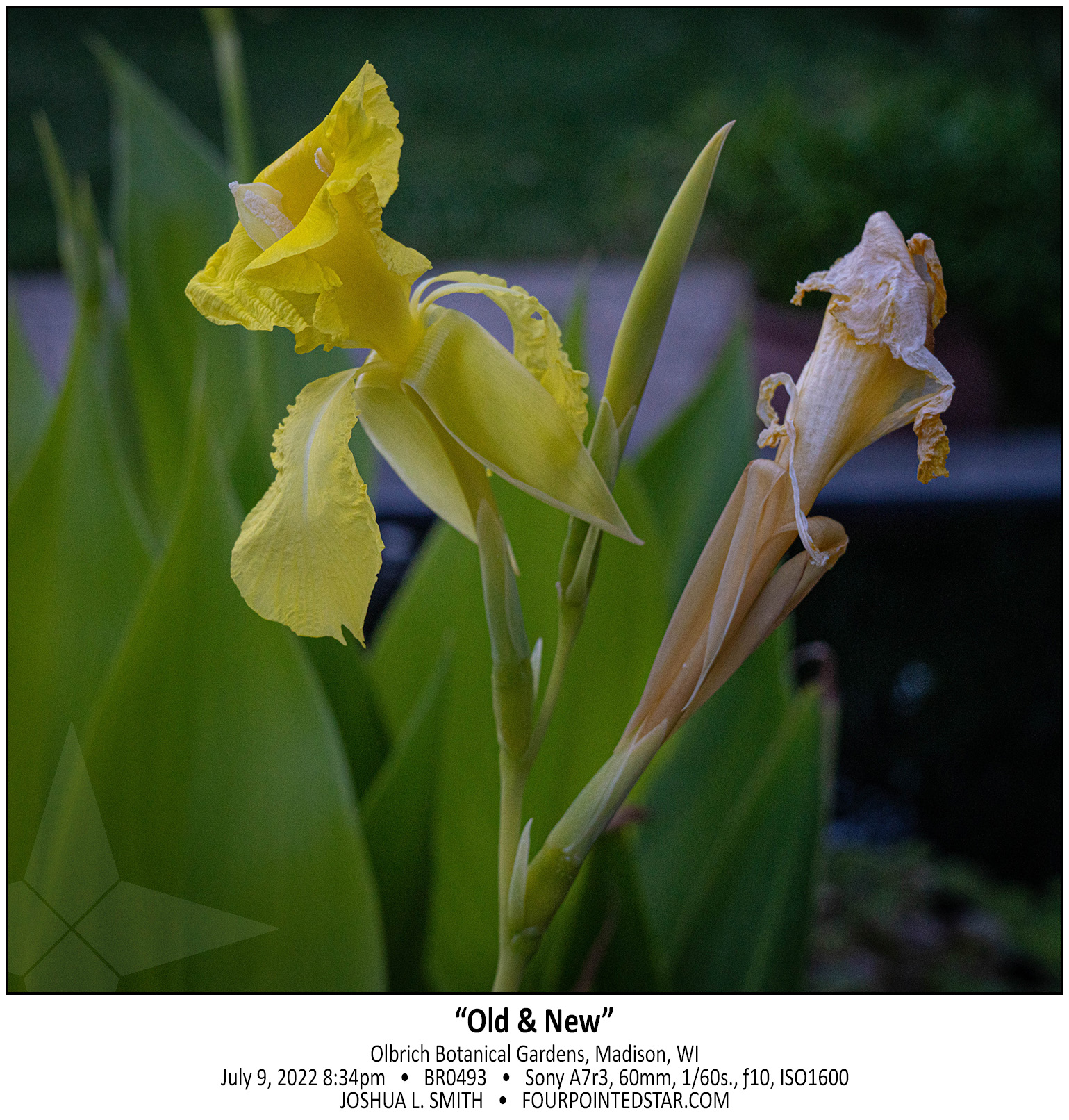 BR0493 220709 203448