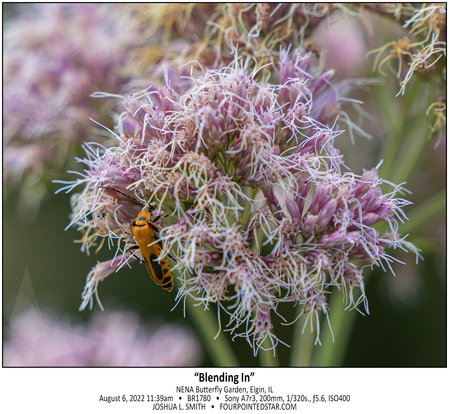 BR1780 220806 113933