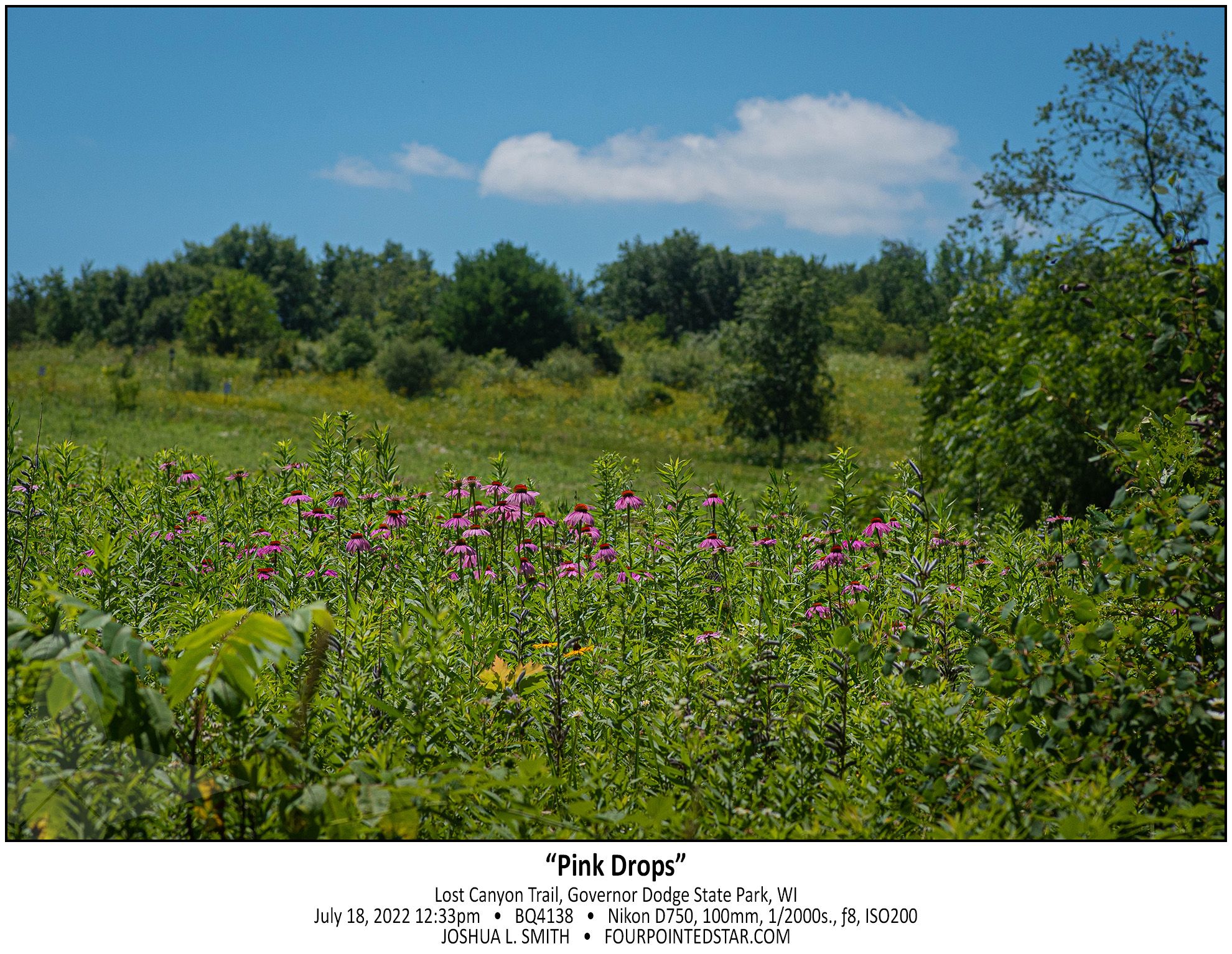 BQ4138 220718 123355