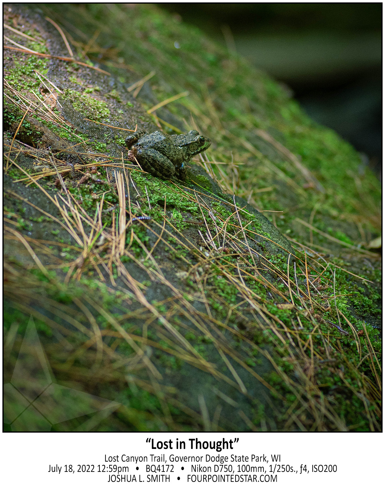 BQ4172 220718 125930