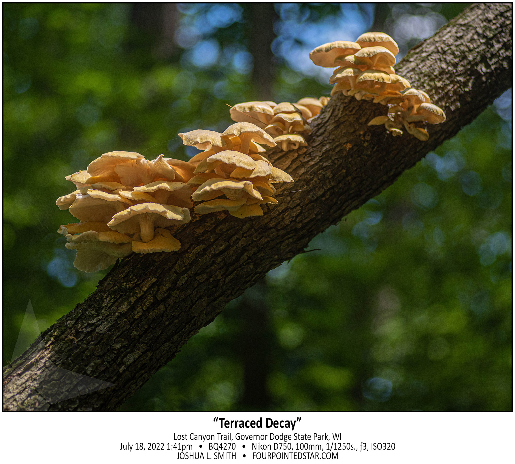 BQ4270 220718 134122