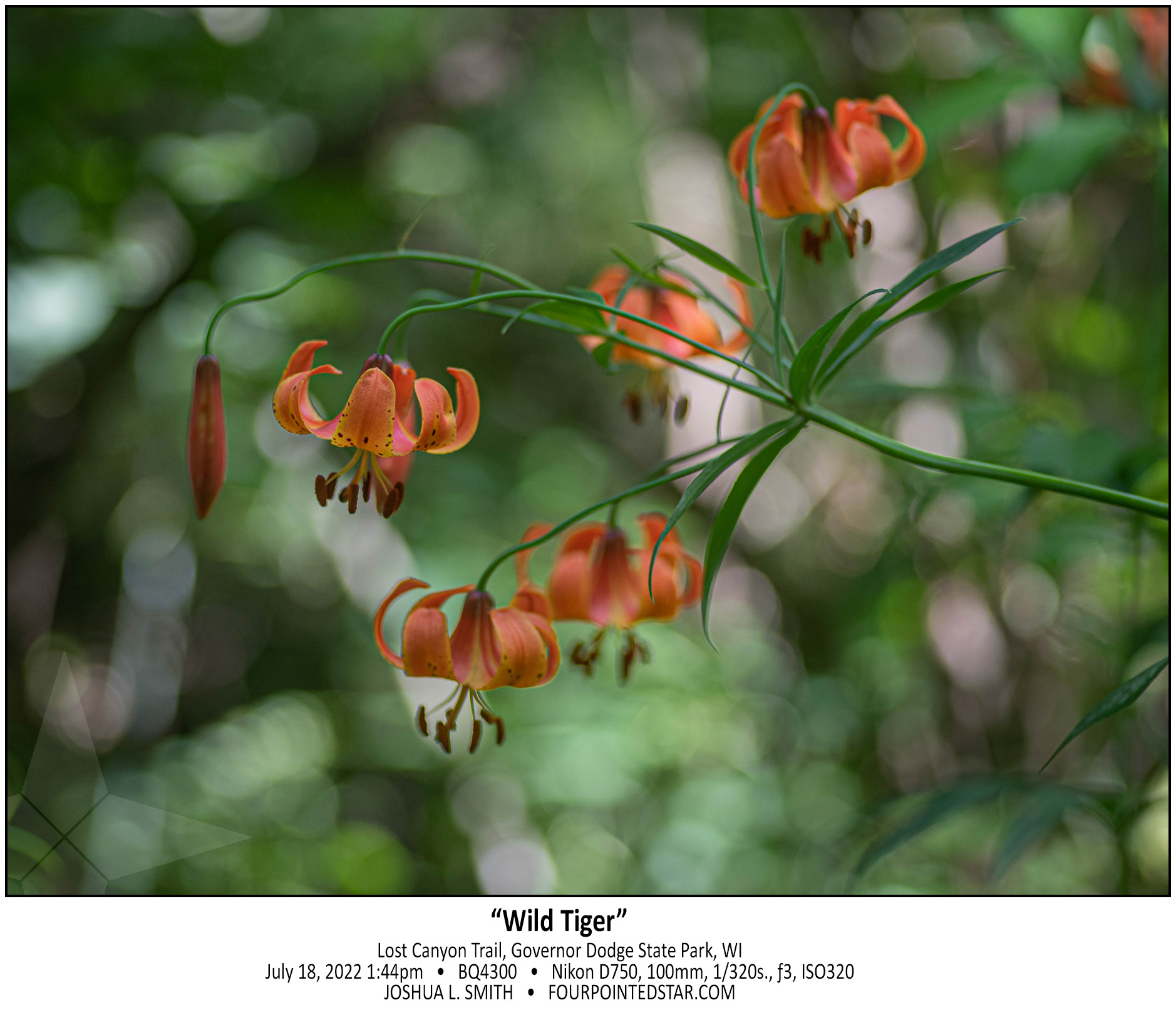 BQ4300 220718 134449