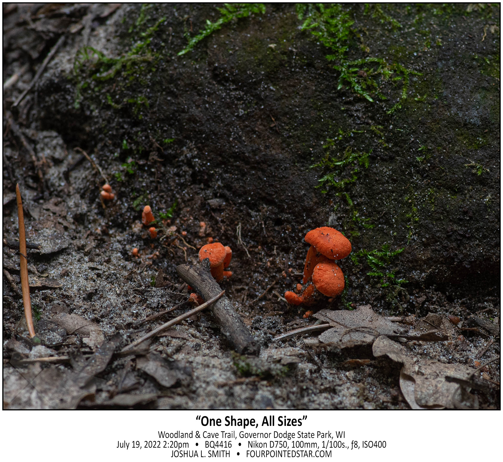 BQ4416 220719 142050