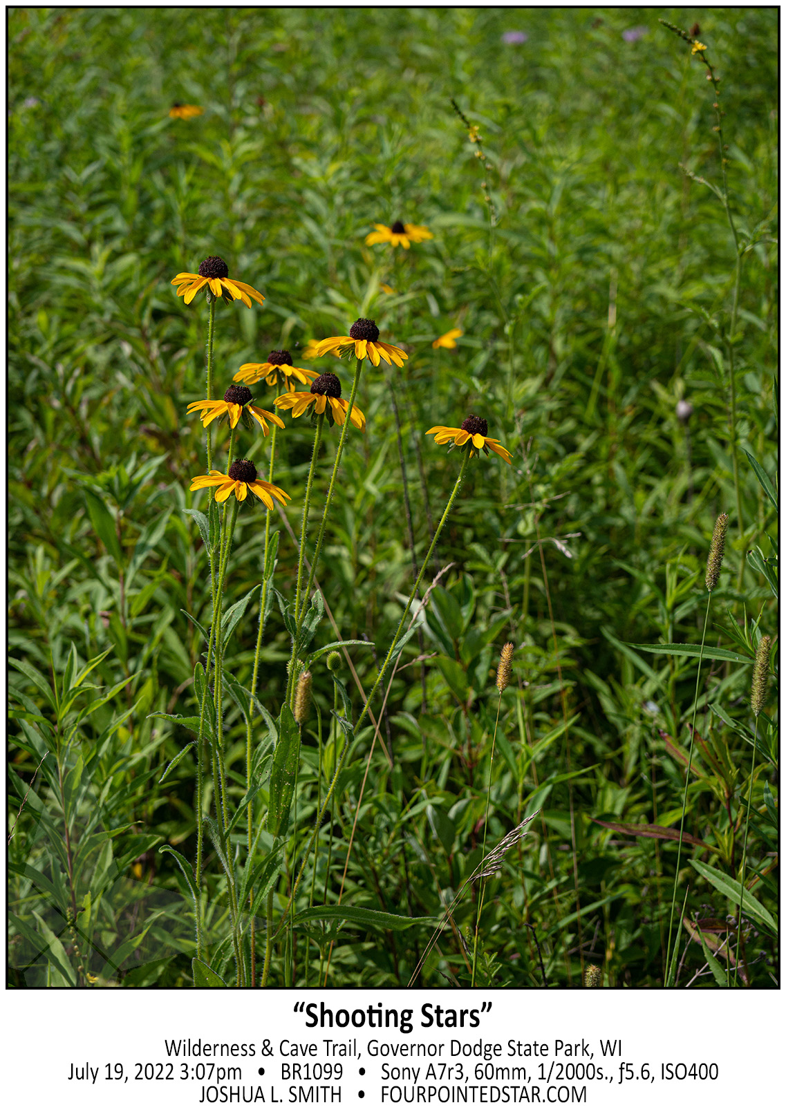 BR1099 220719 150731