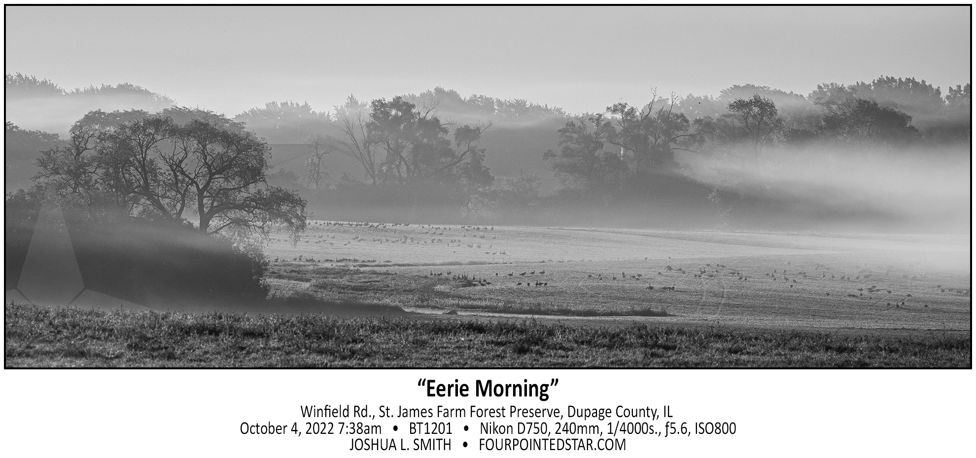 BT1201 221004 073818