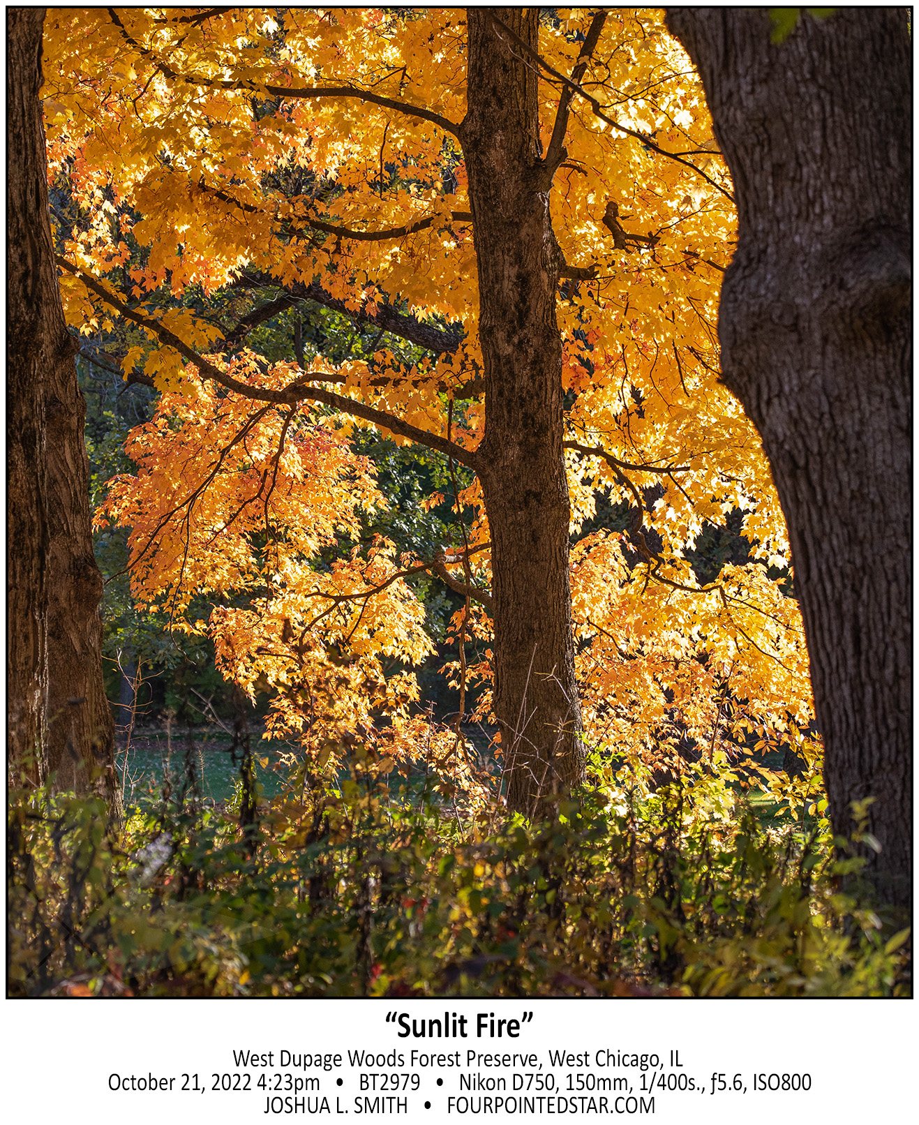 BT2979 221021 162323