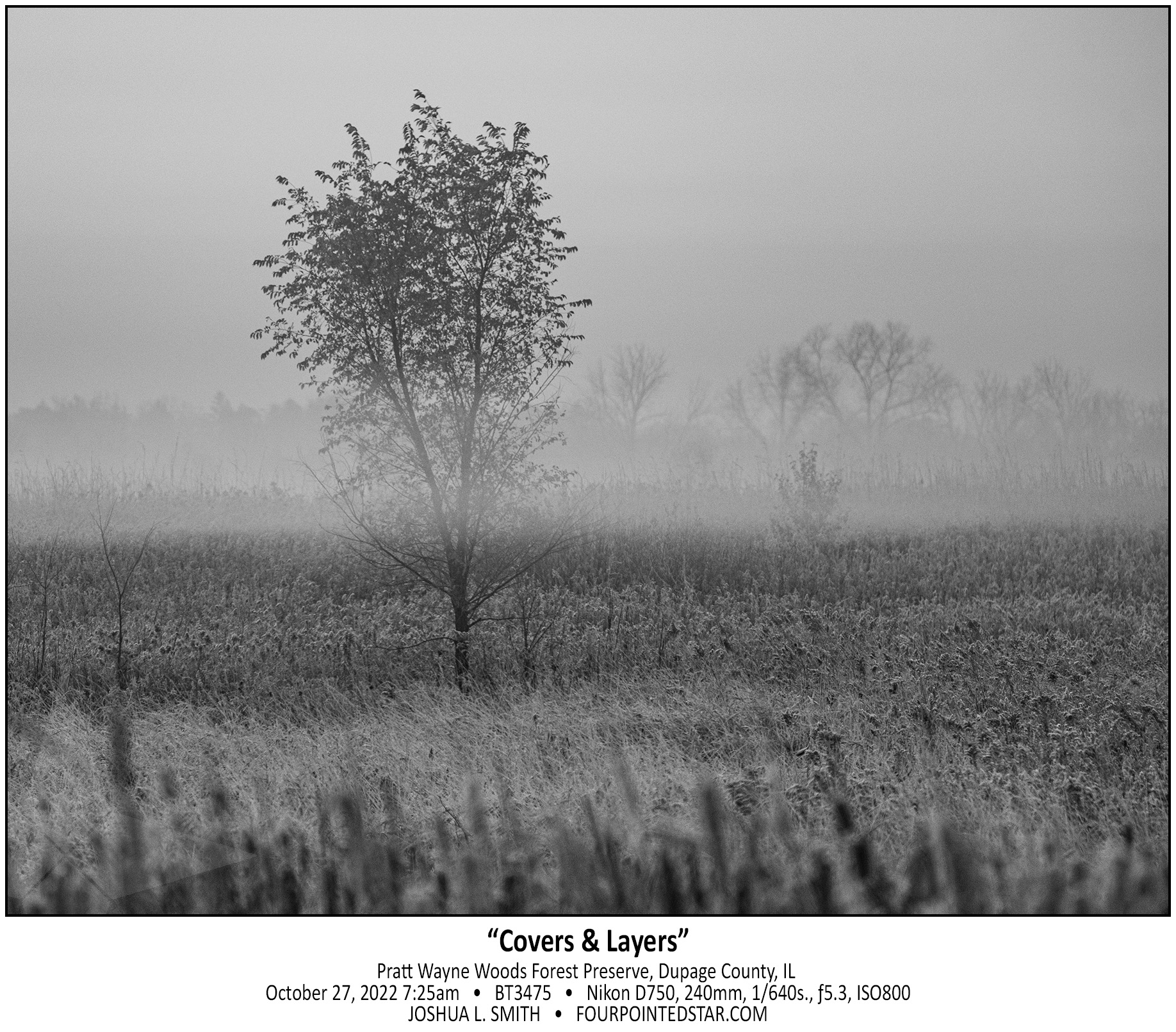 BT3475 221027 072513