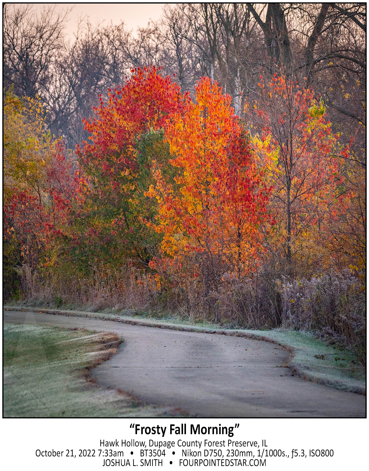 BT3504 221027 073355