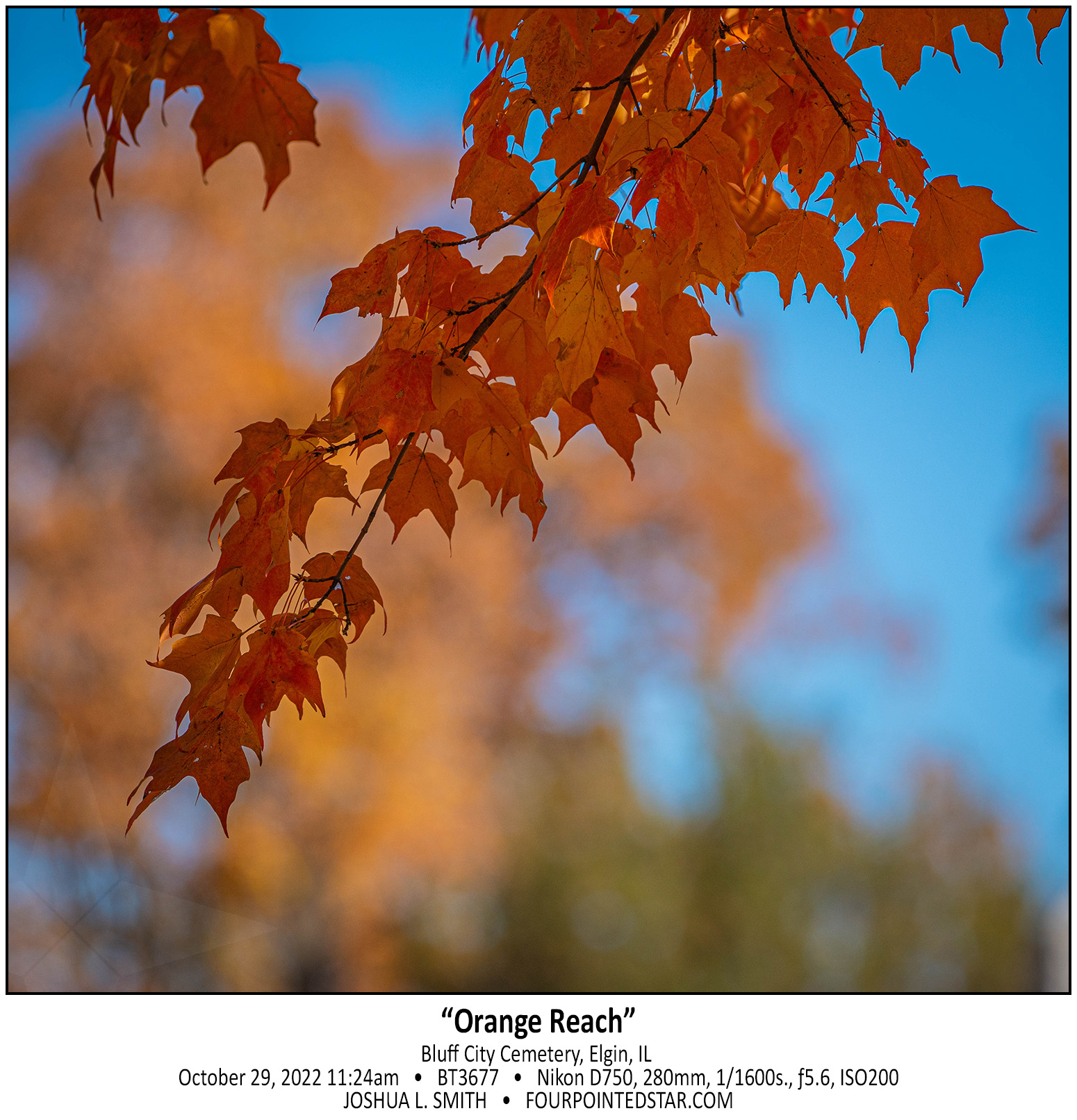 BT3677 221029 112458