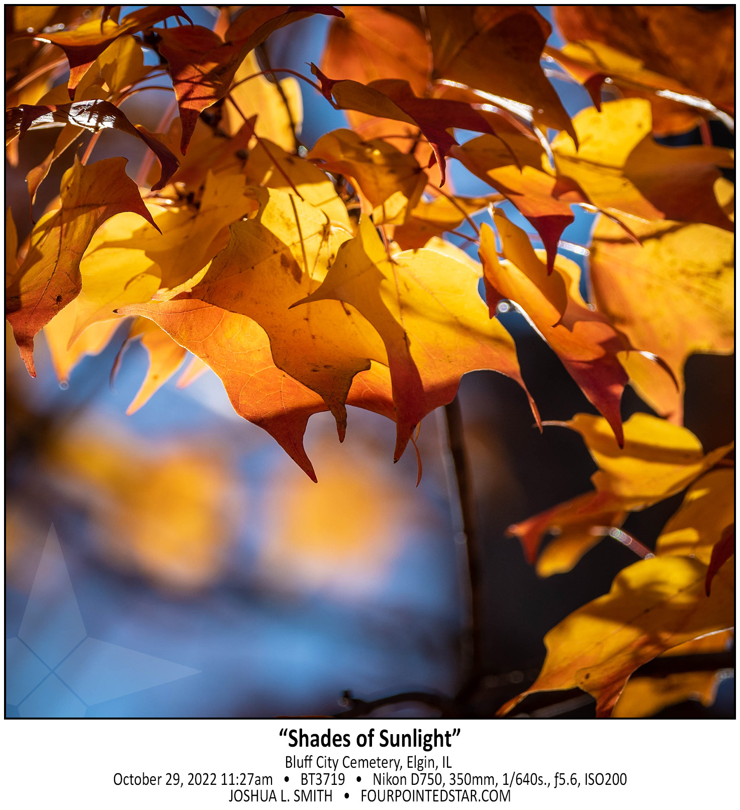 BT3719 221029 112734