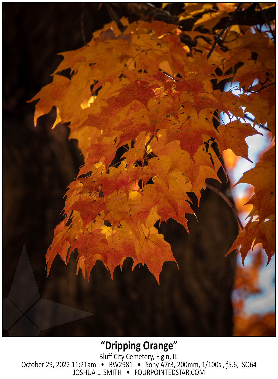 BW2981 221029 112152