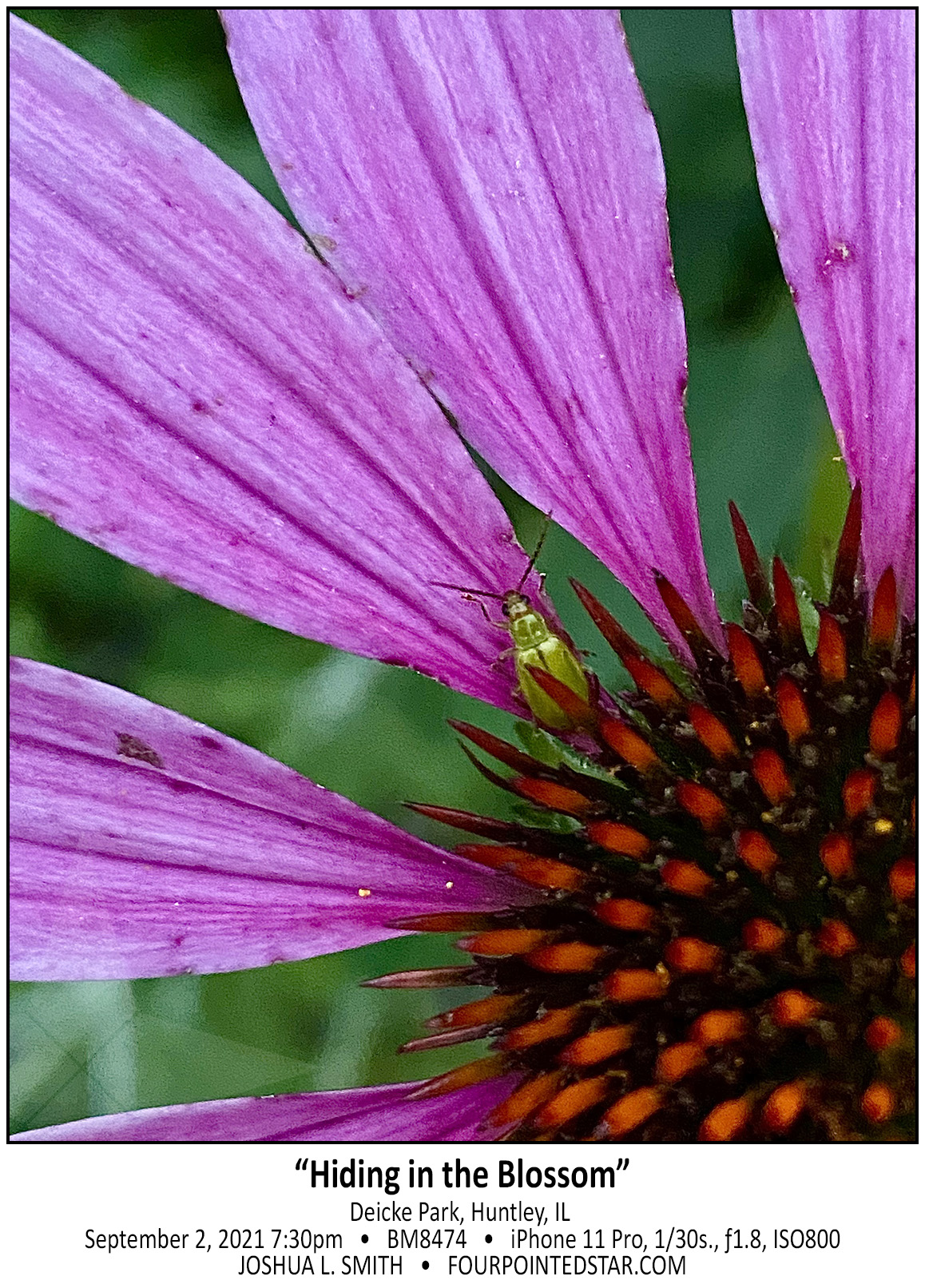 BM8474 210902 193053