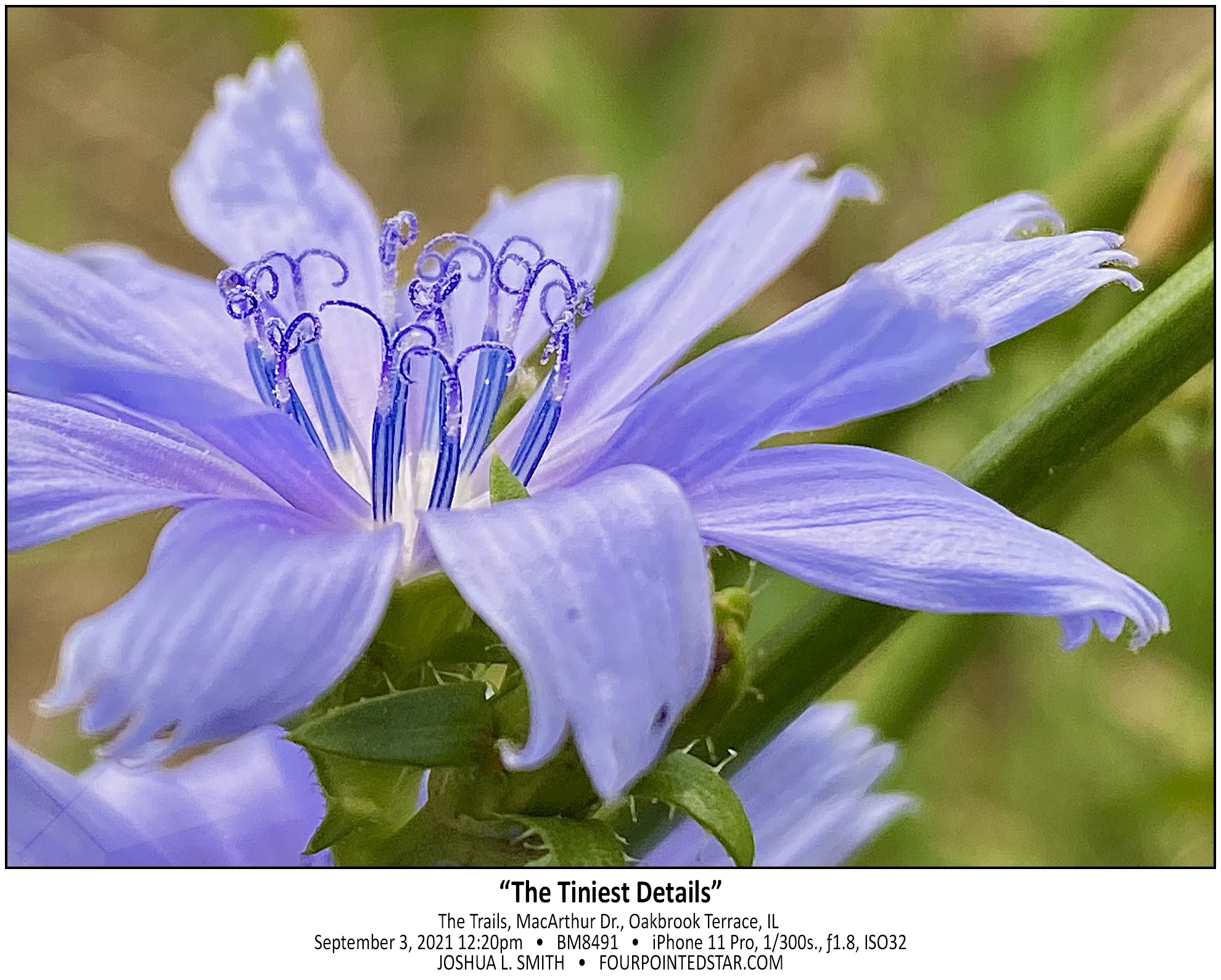 BM8491 210903 122050