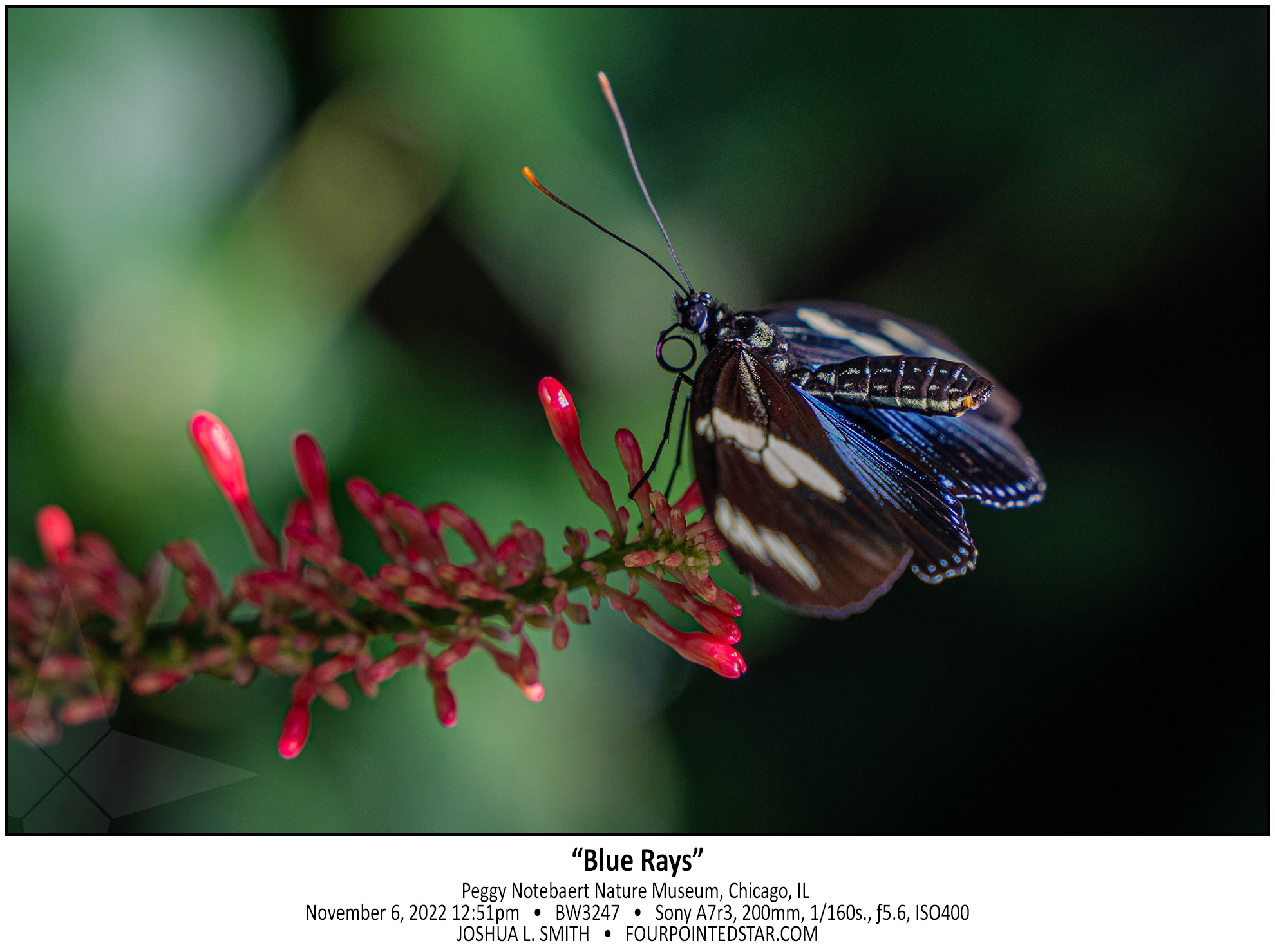 BW3247 221106 125145