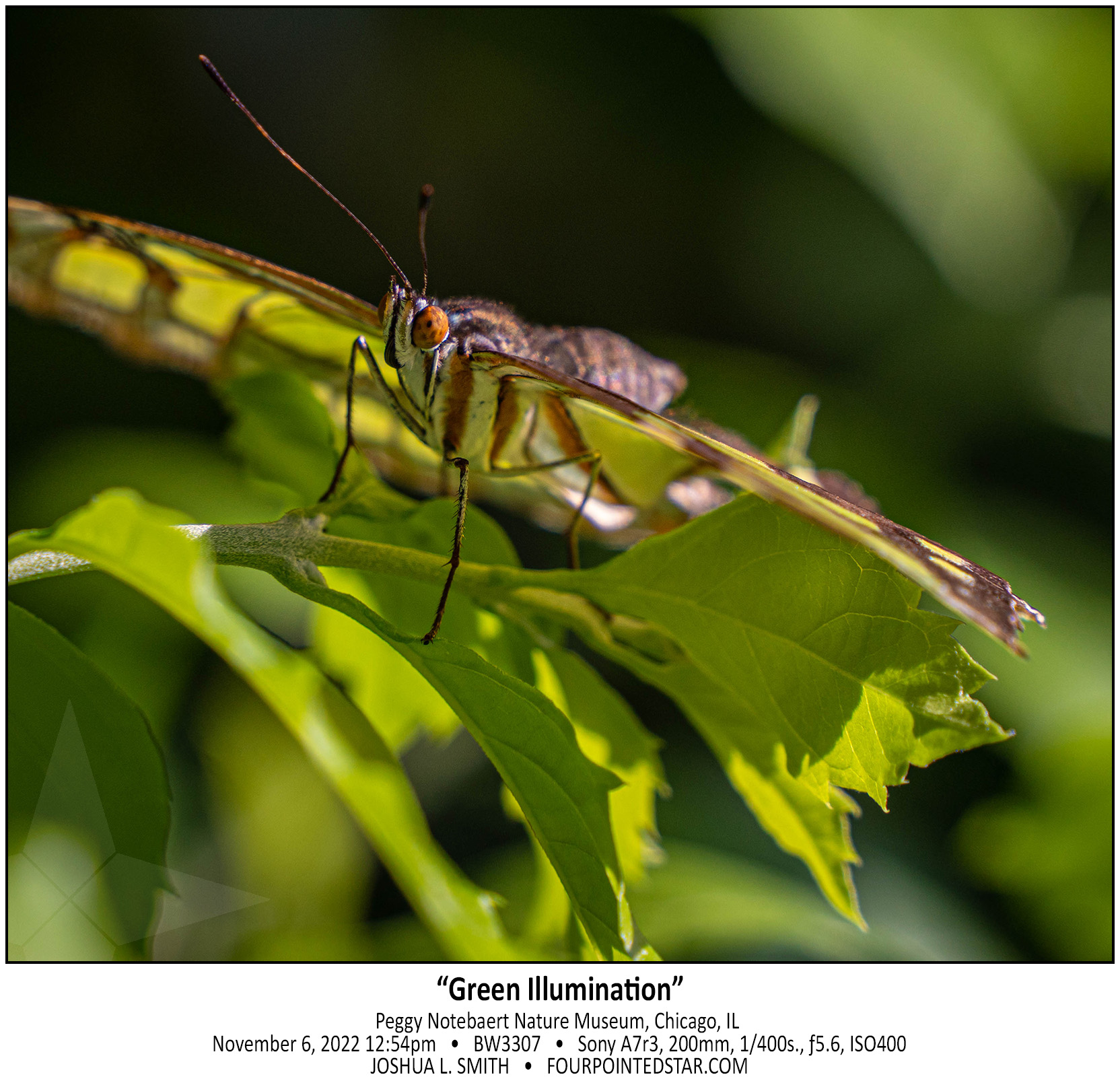 BW3267 221106 125402