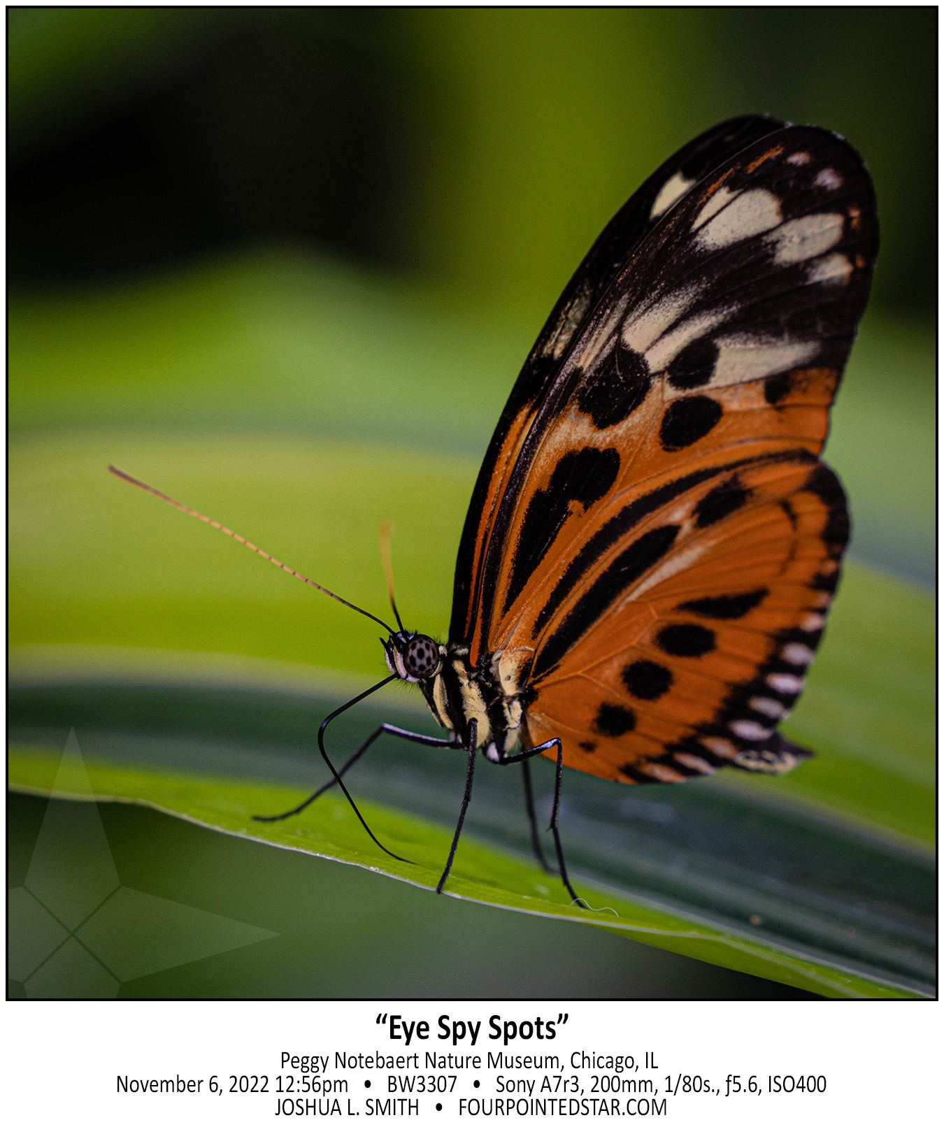 BW3307 221106 125623