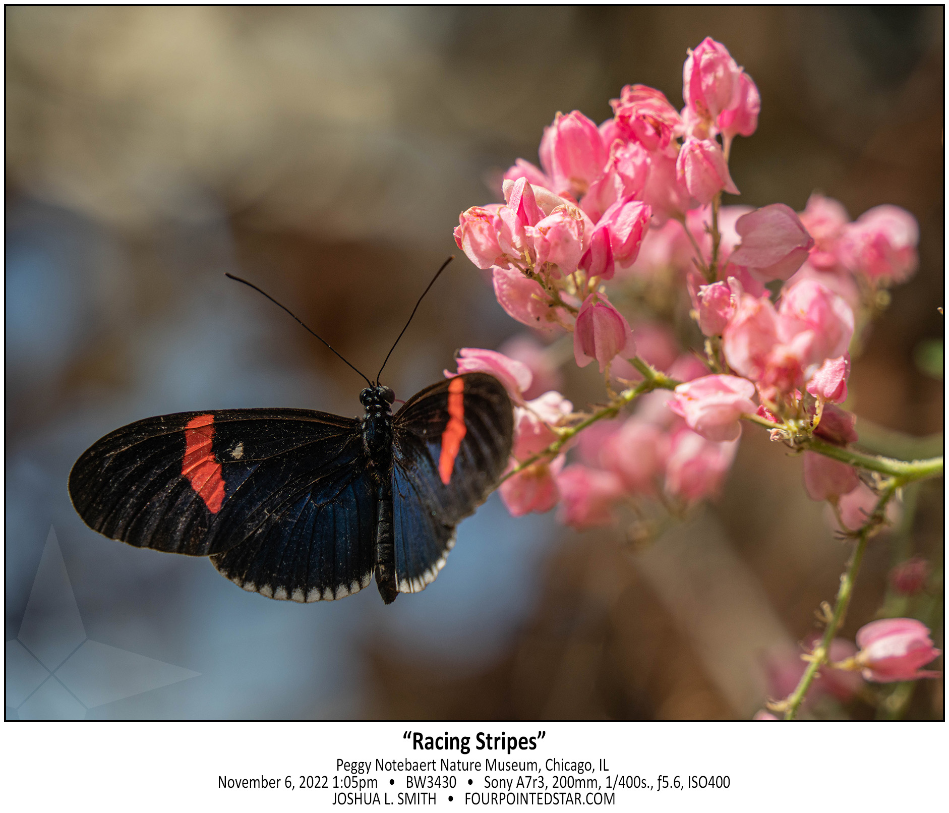 BW3430 221106 130511