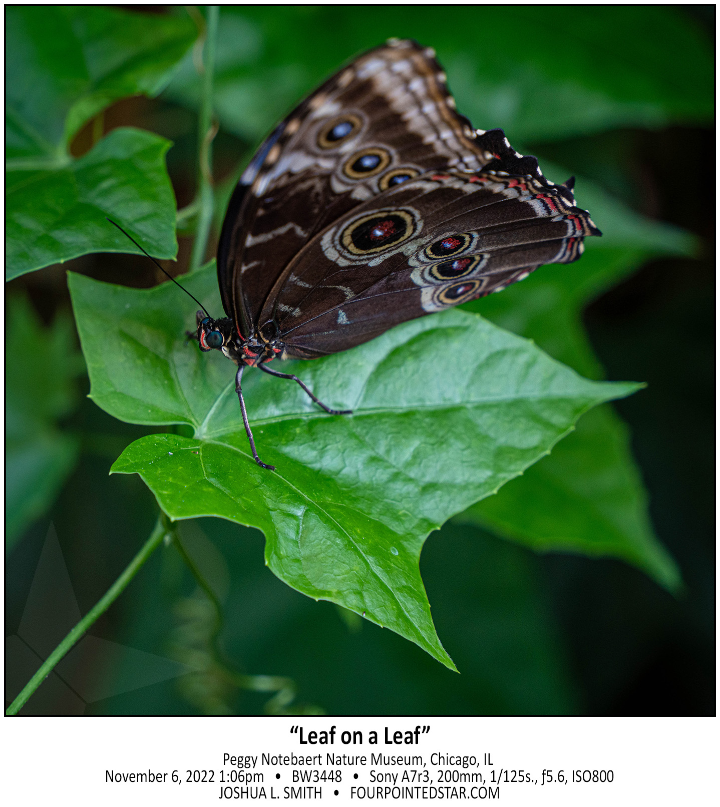 BW3448 221106 130641