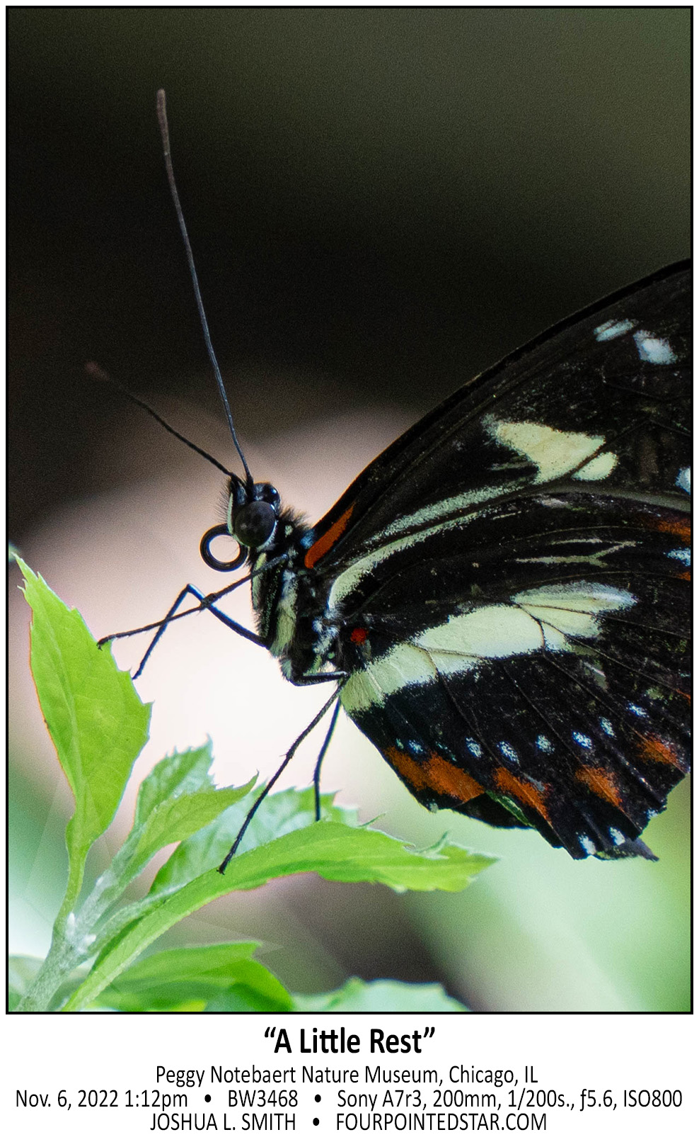 BW3468 221106 131256