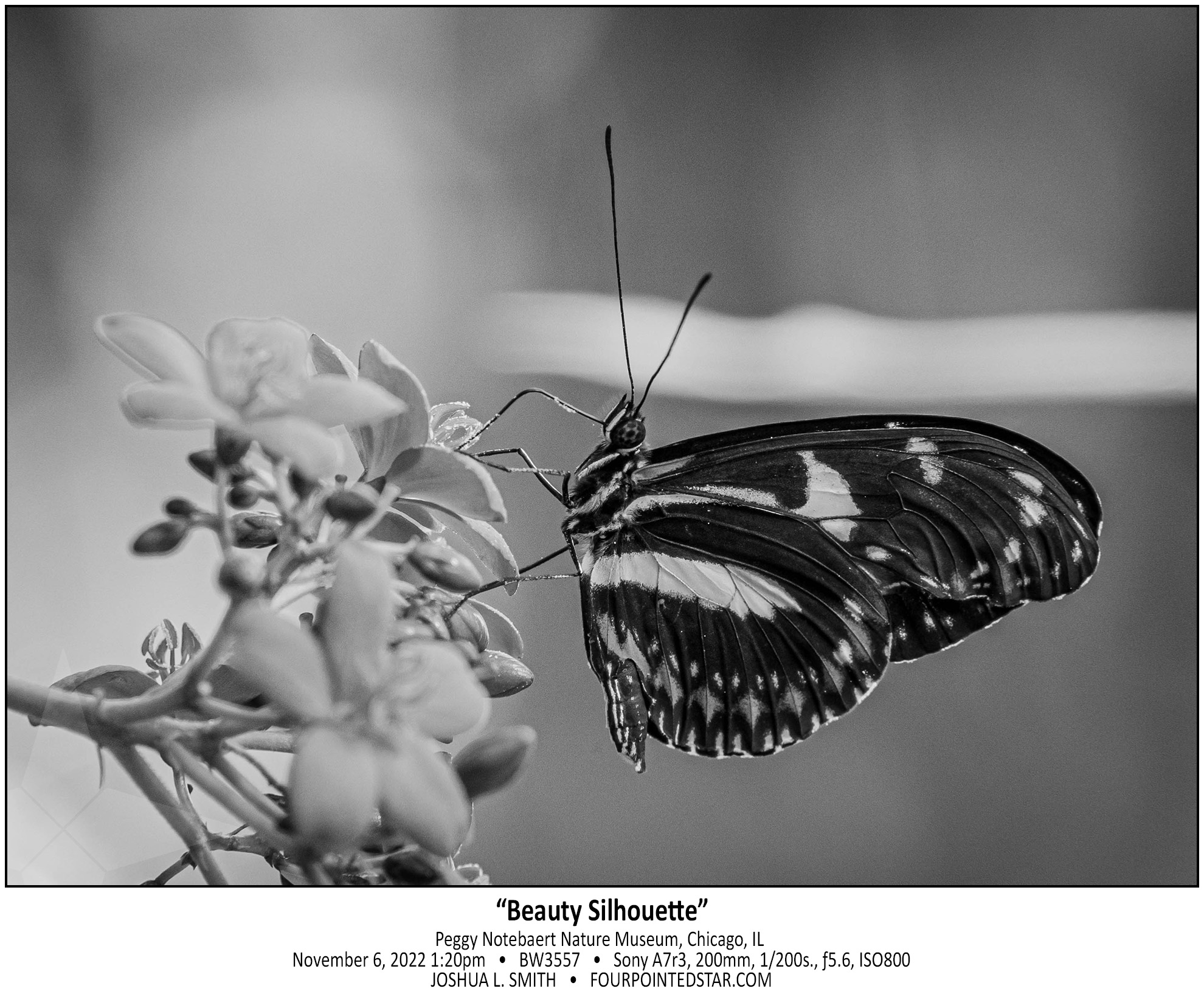 BW3557 221106 132043