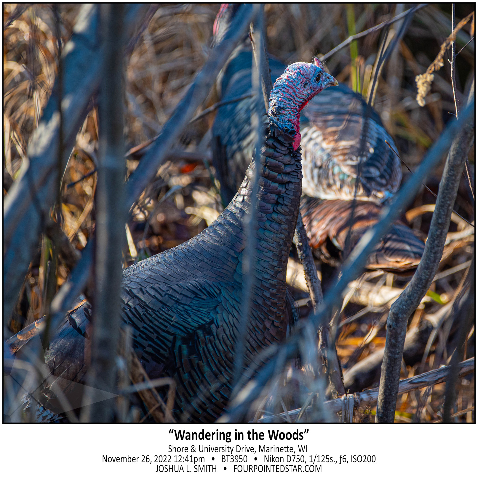 BT3950 221126 124154