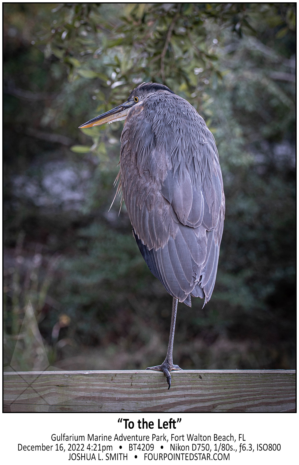 BT4209 221216 162124