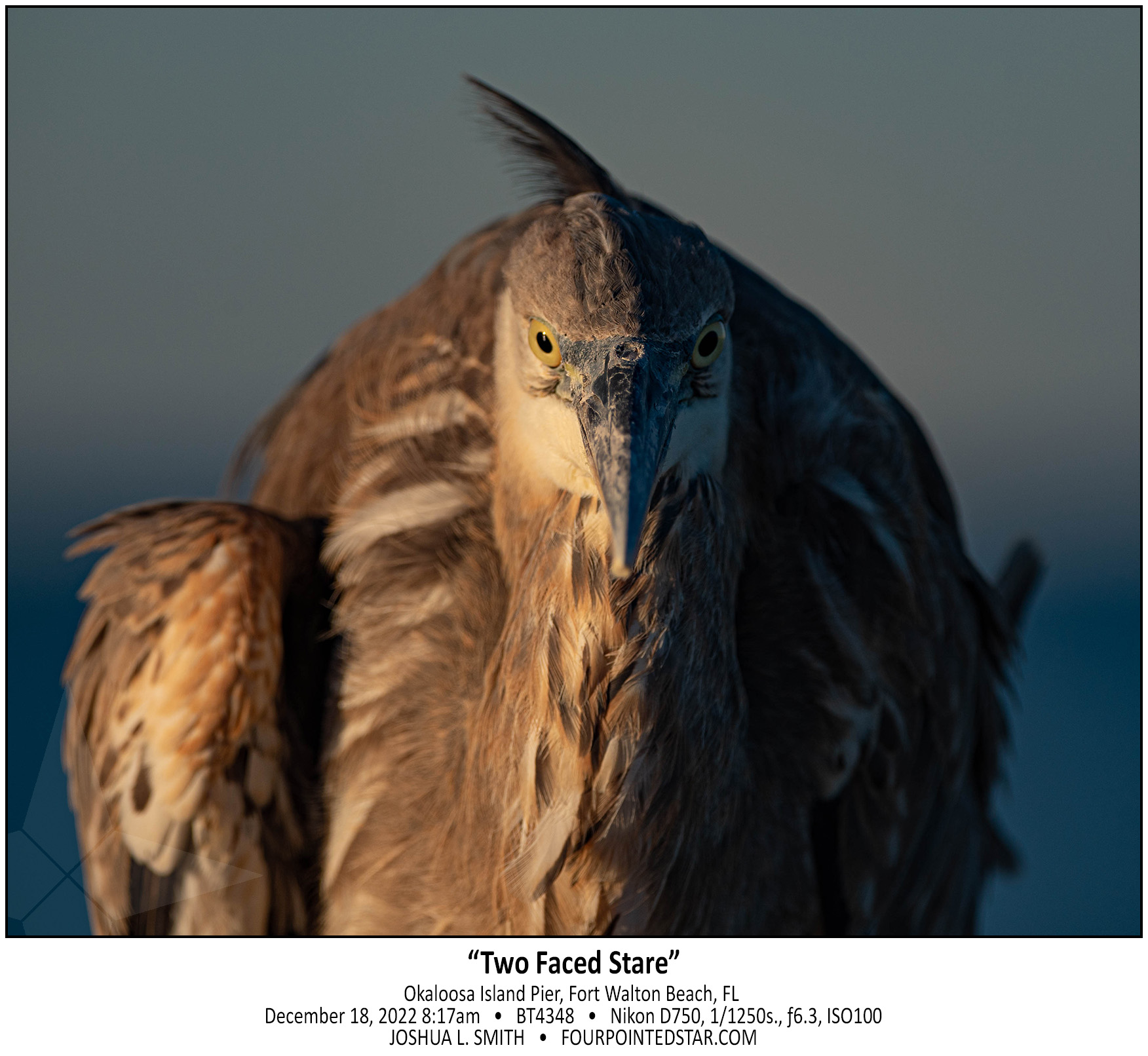 BT4348 221218 081753