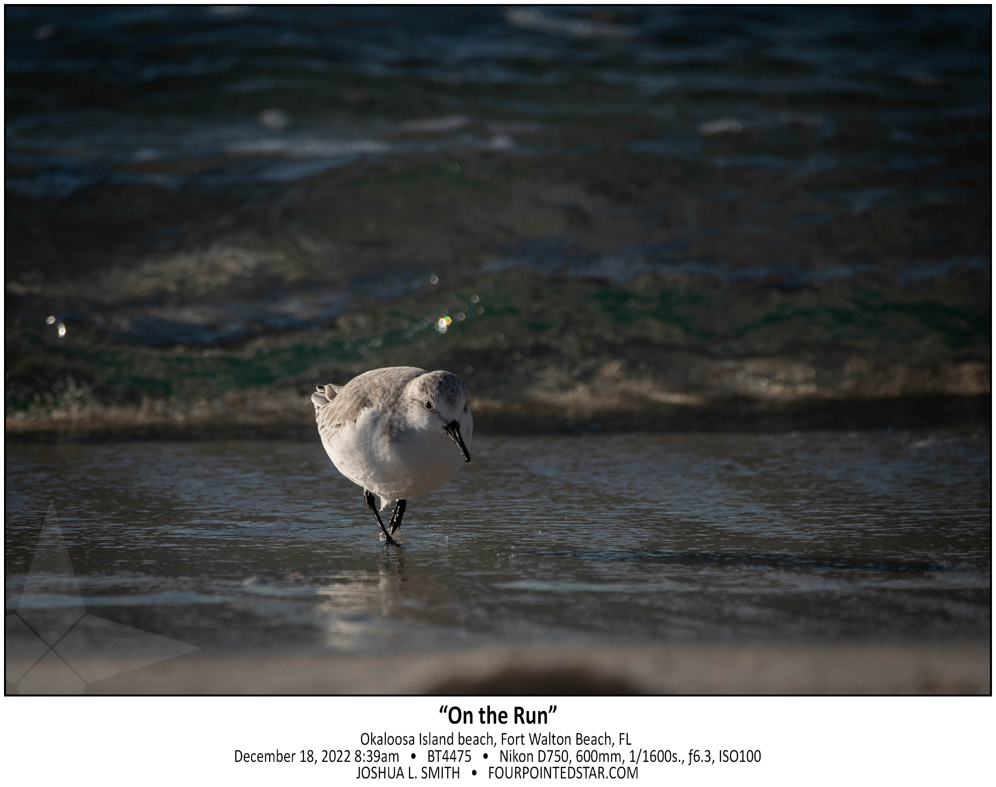 BT4475 221218 083933