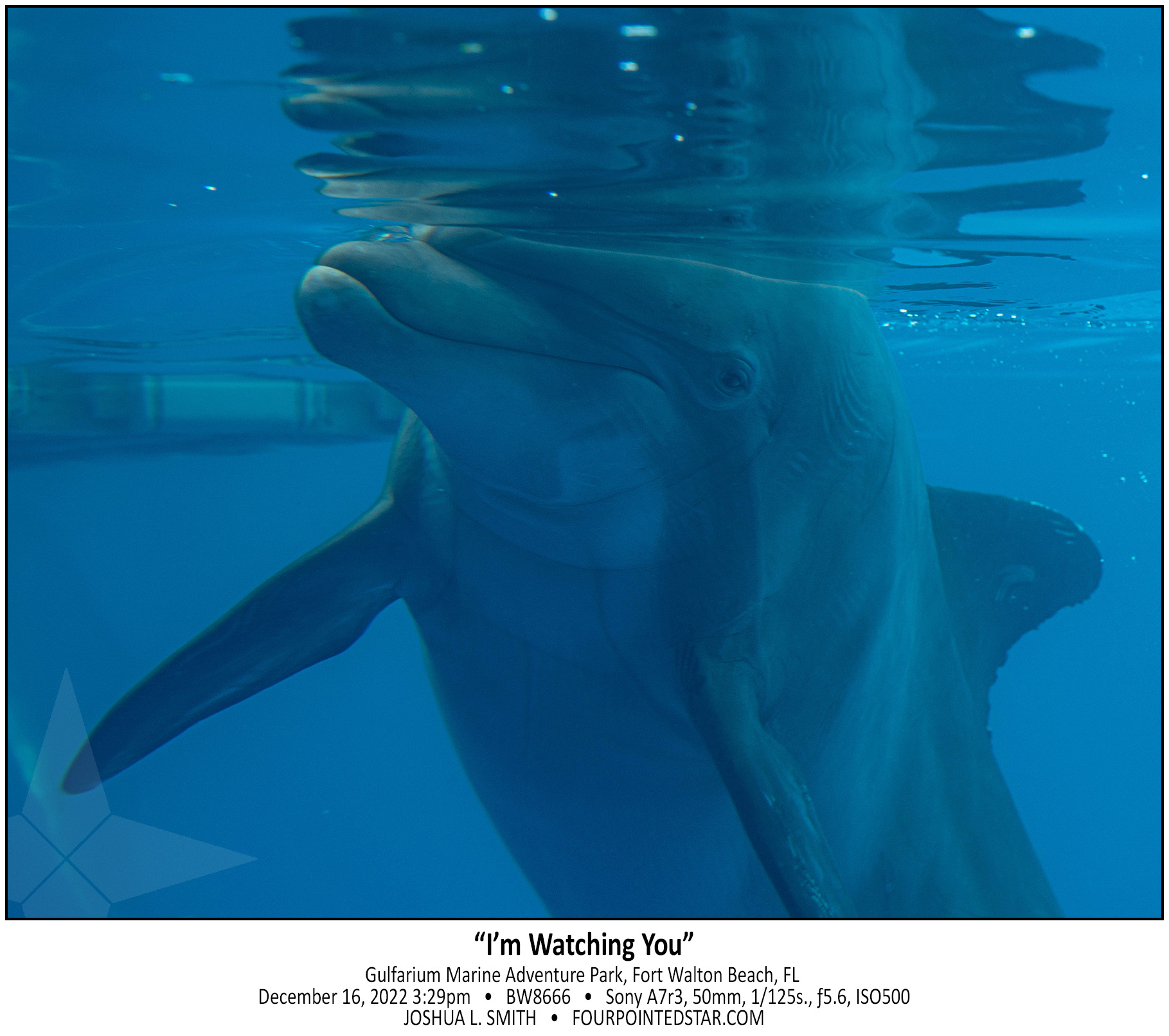 BW8666 221216 152938