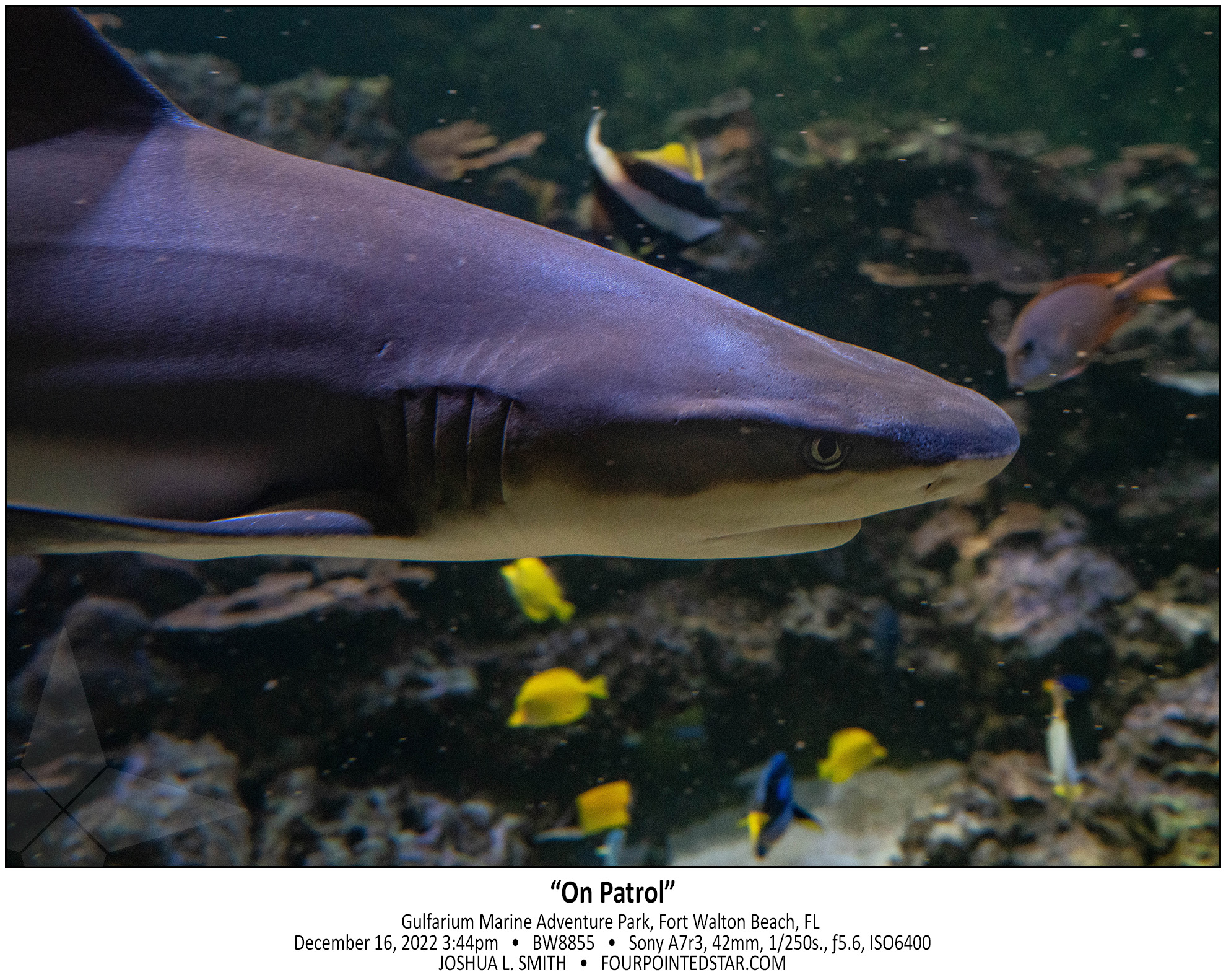 BW8855 221216 154406