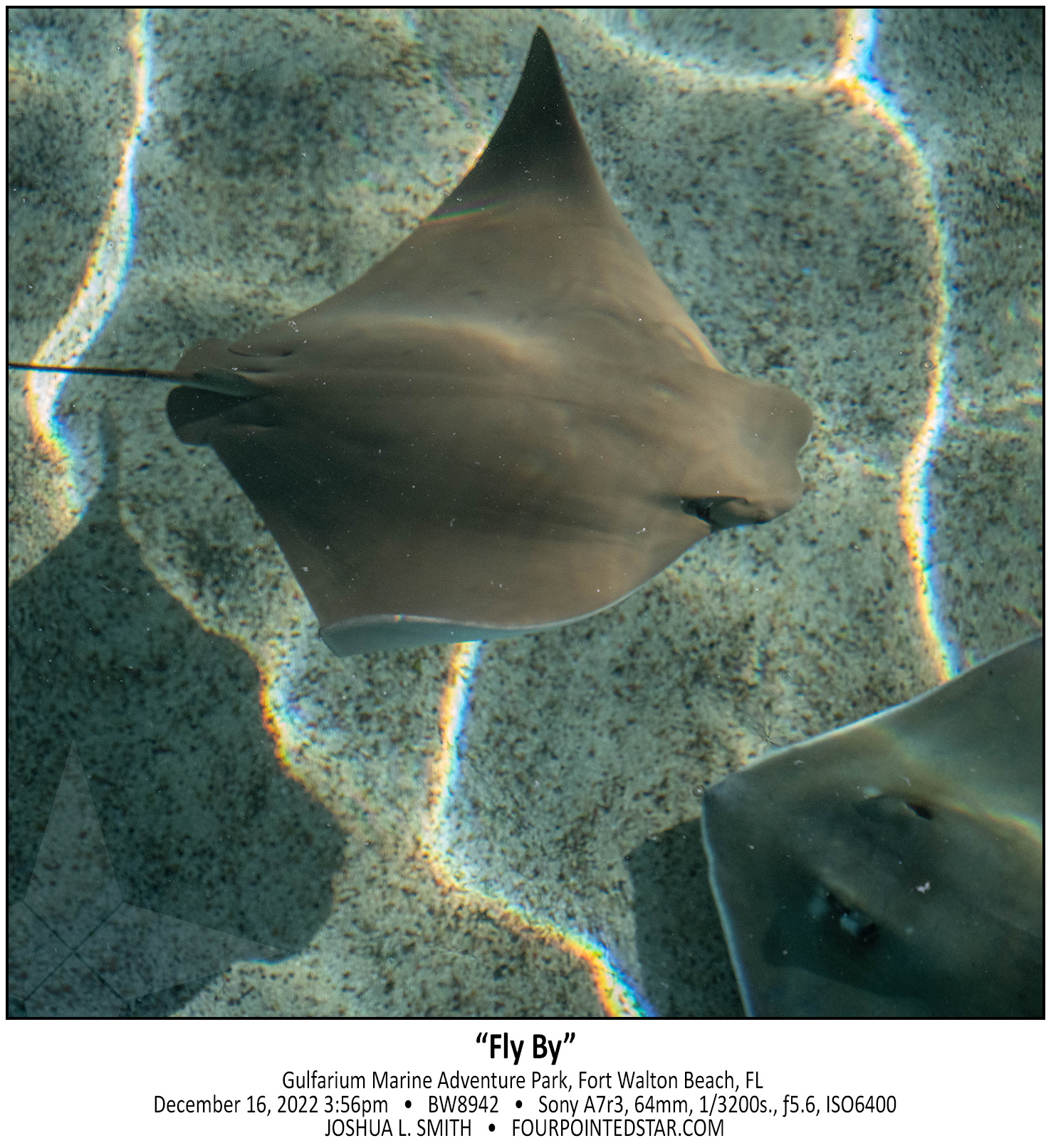 BW8942 221216 155606