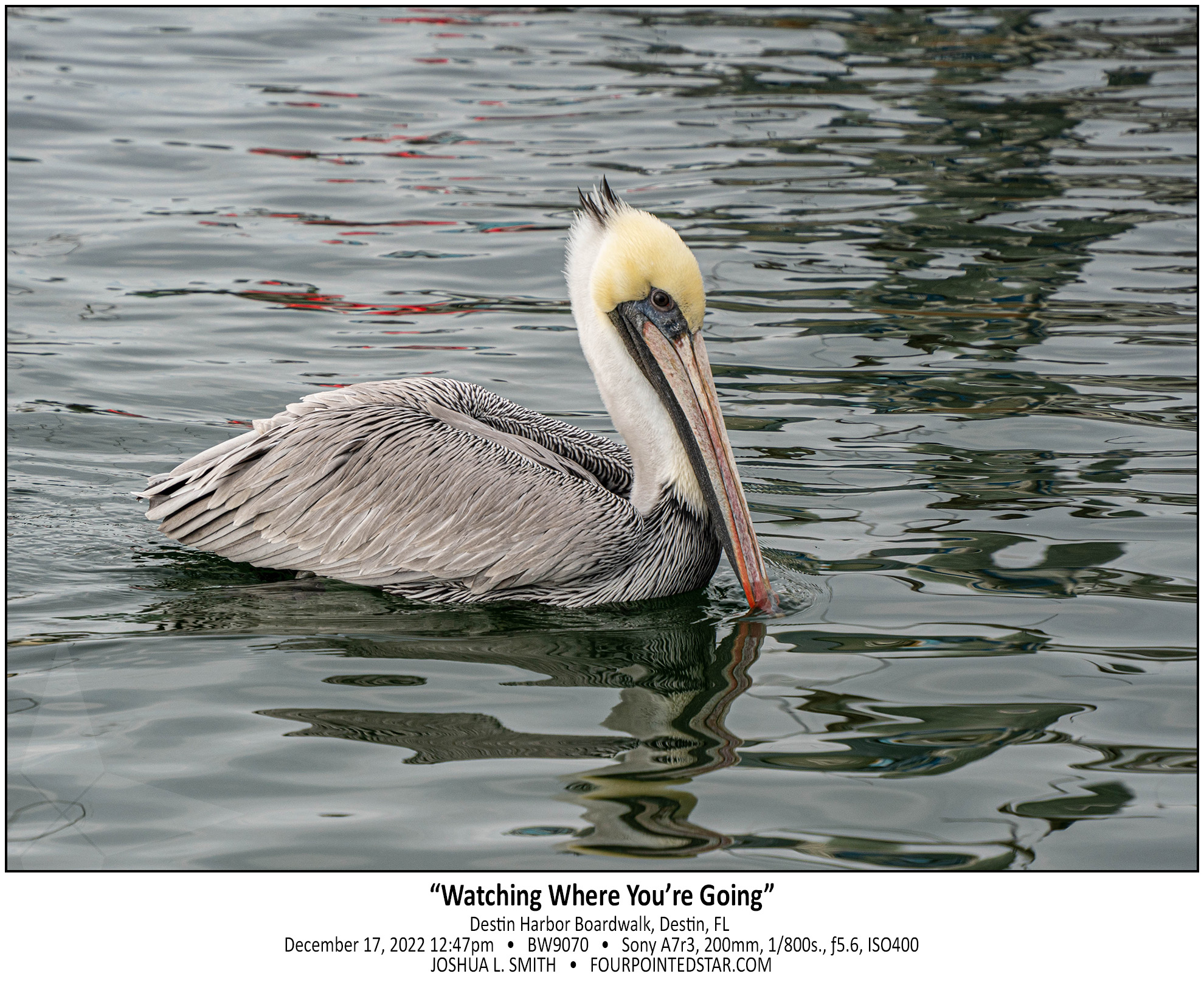 BW9070 221217 124751