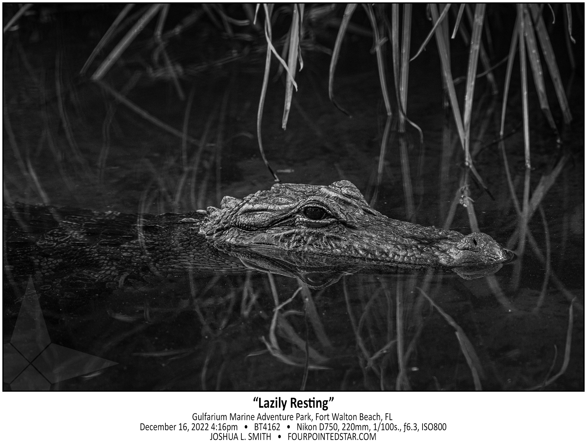 BT4162 221216 161602