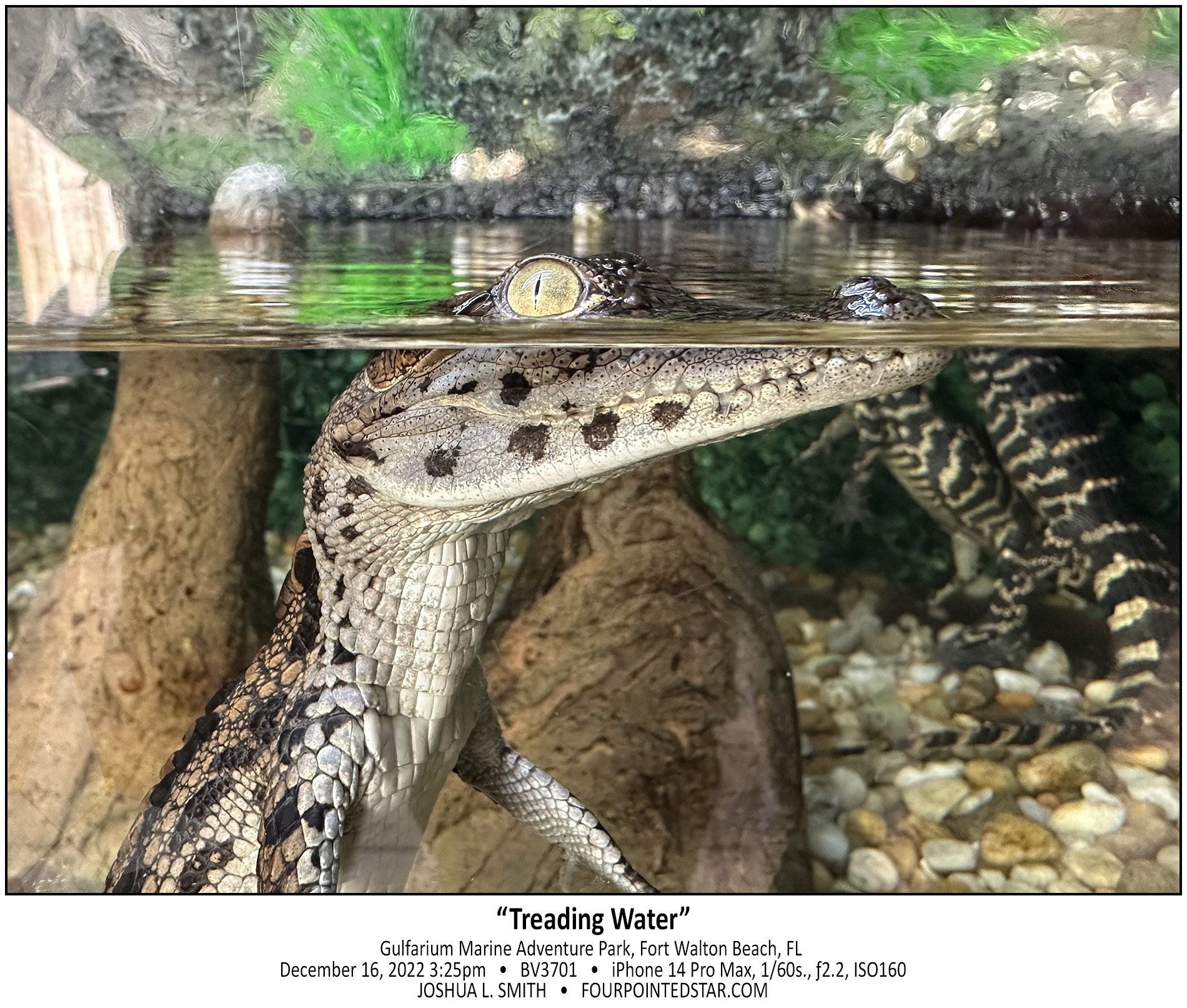 BV3701 221216 152502