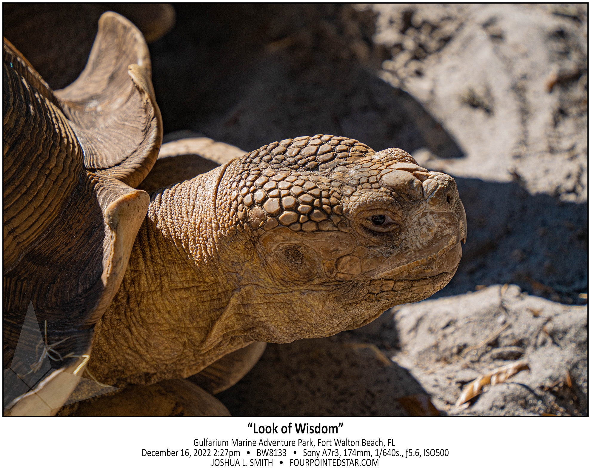 BW8133 221216 142717