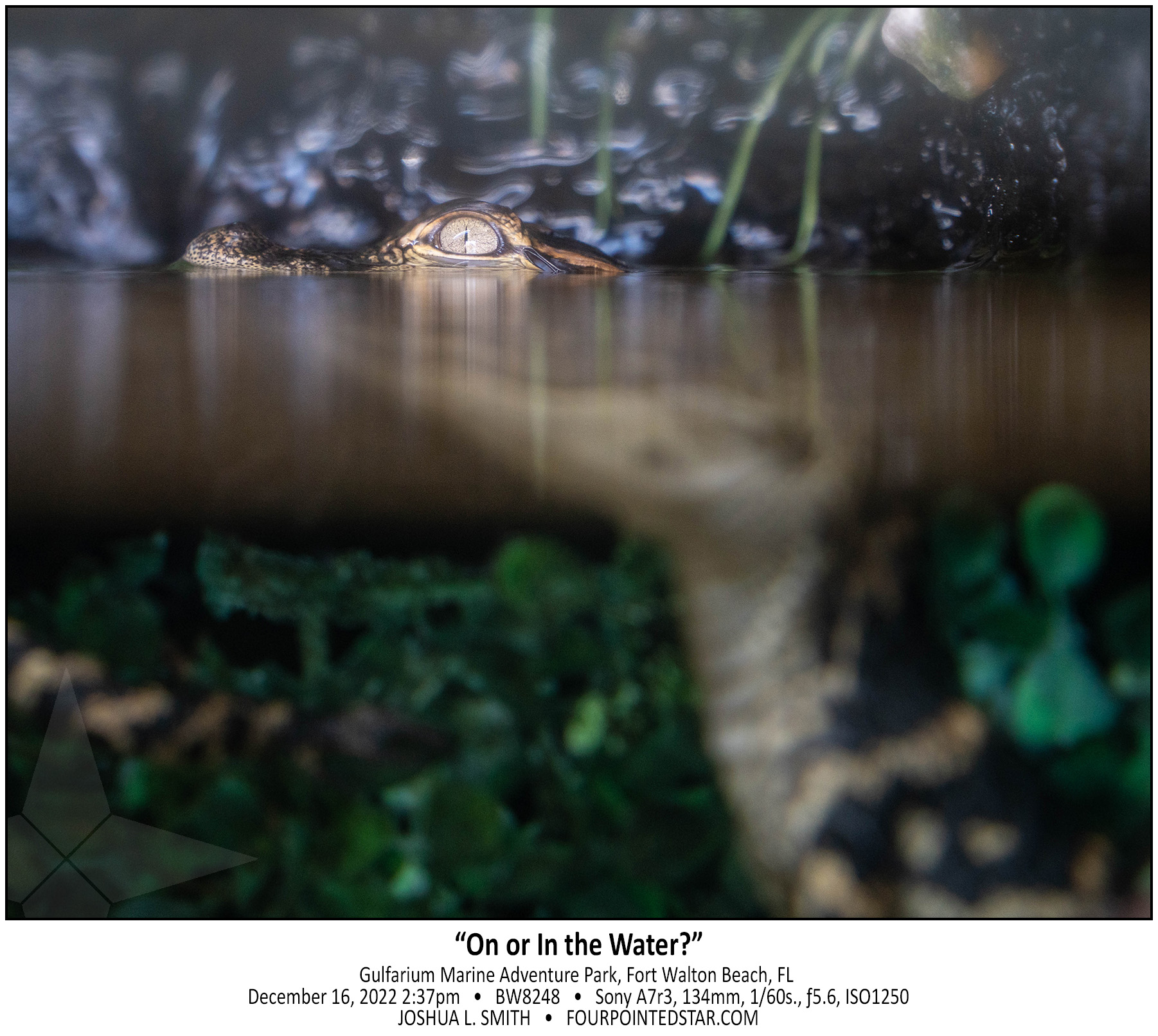 BW8248 221216 143740