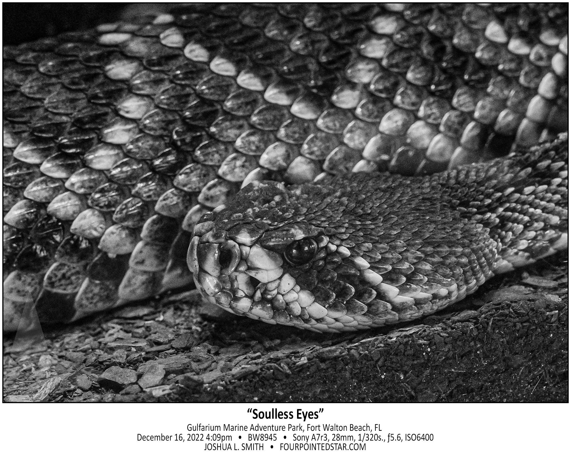 BW8945 221216 160959