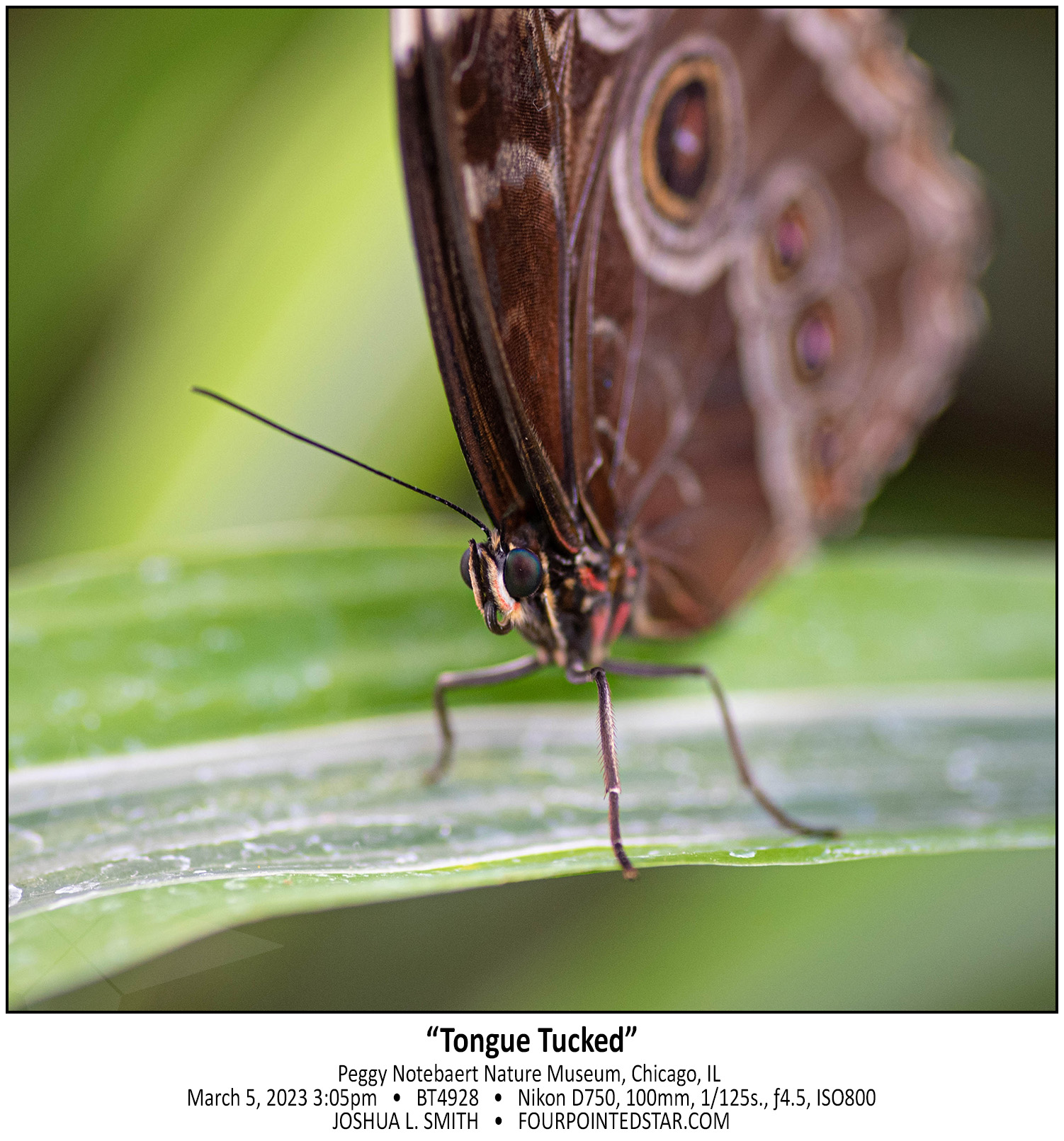 BT4928 230305 150548