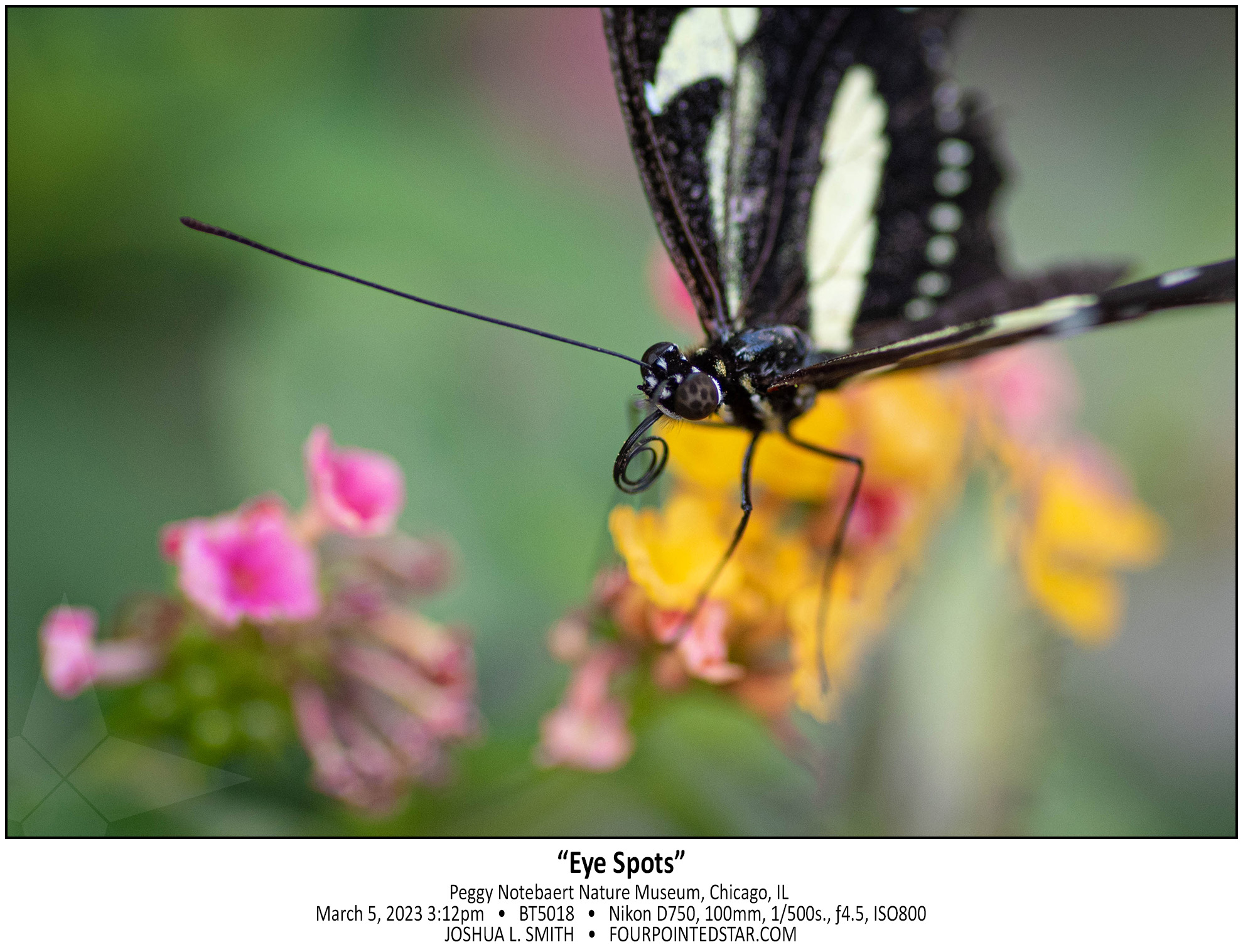 BT5018 230305 151234