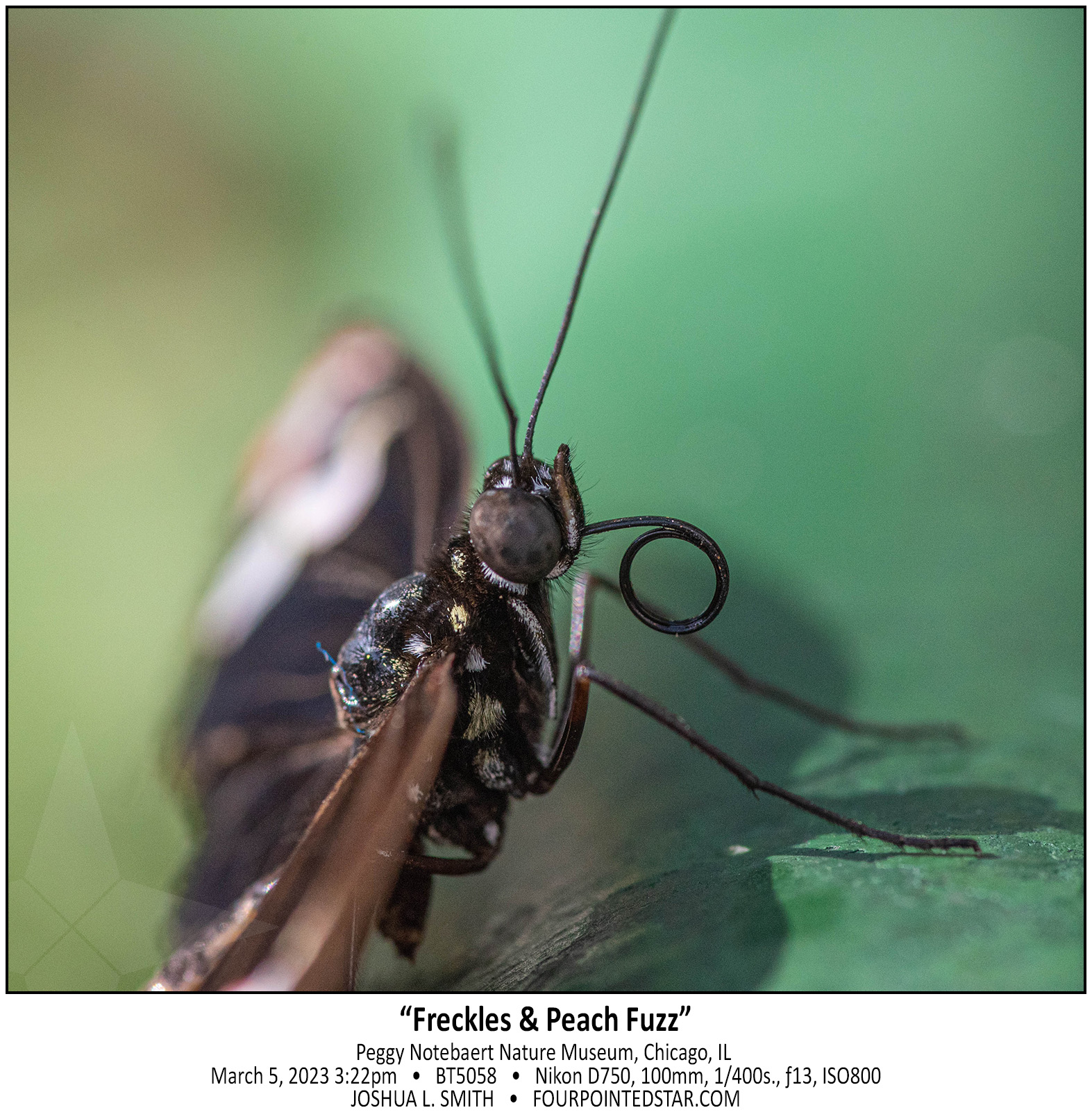 BT5058 230305 152236