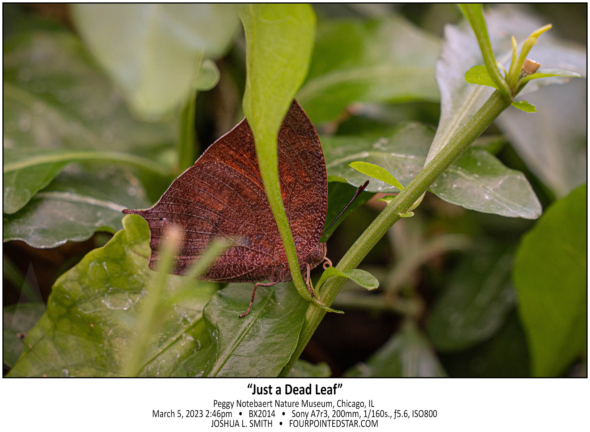 BX2008 230305 144626